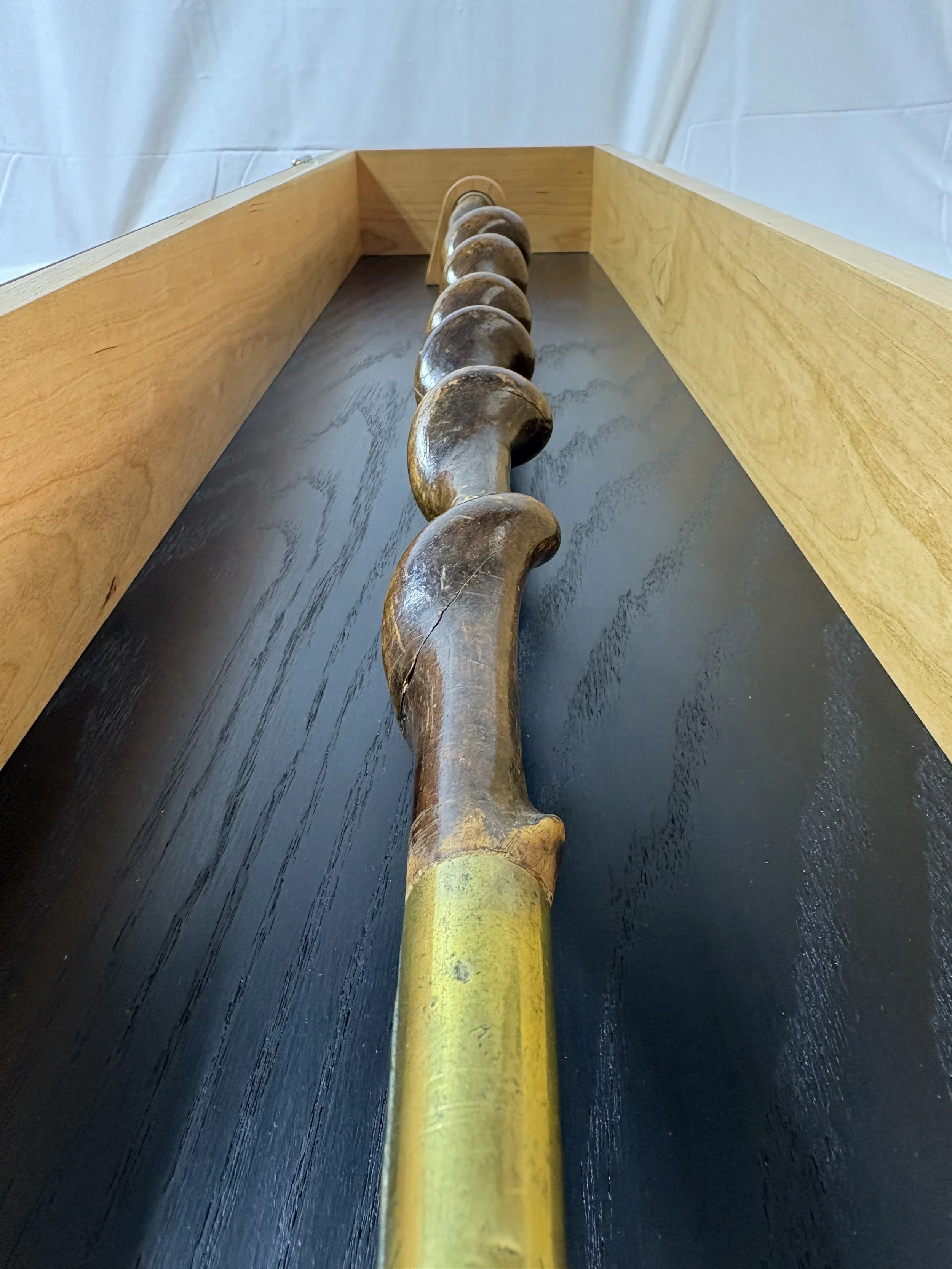 Cane Display Case