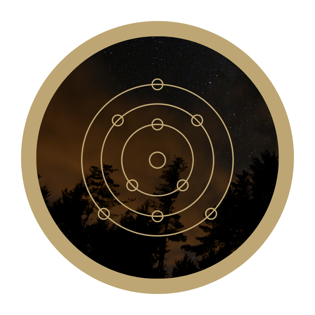 Night sky with stars and silhouetted trees overlaid with constellation diagram lines and circles.