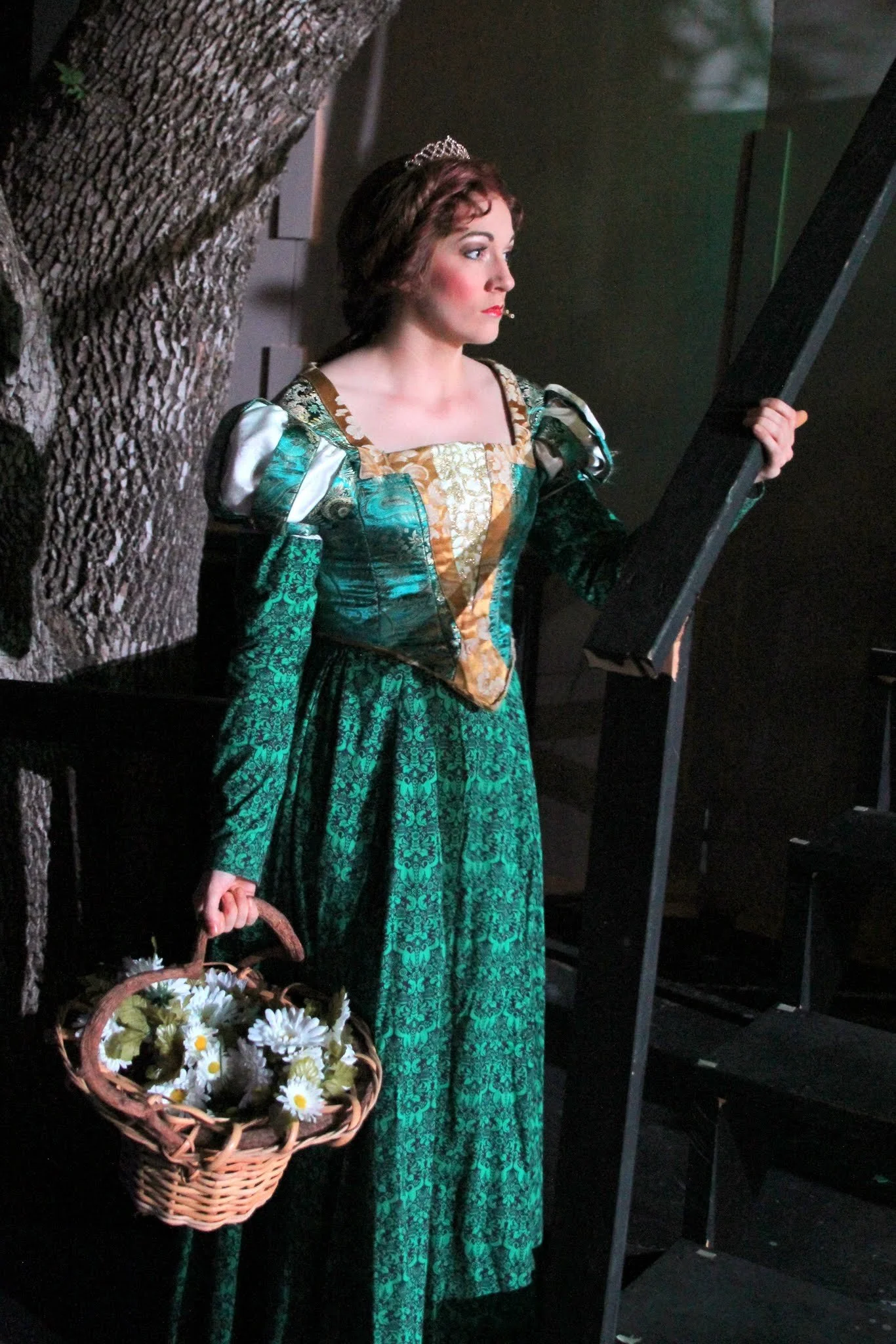 Shrek (Princess Fiona)