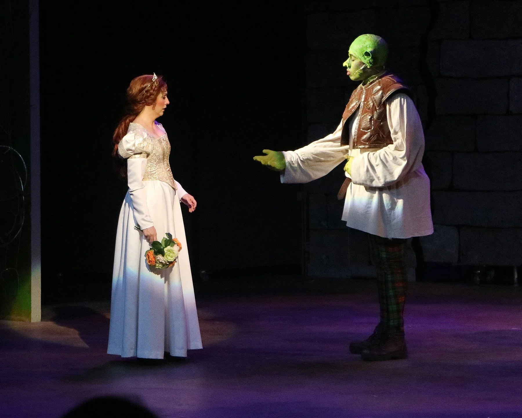 Shrek (Princess Fiona)