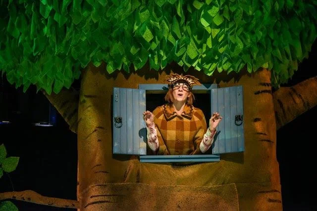 Winnie the Pooh (Owl)