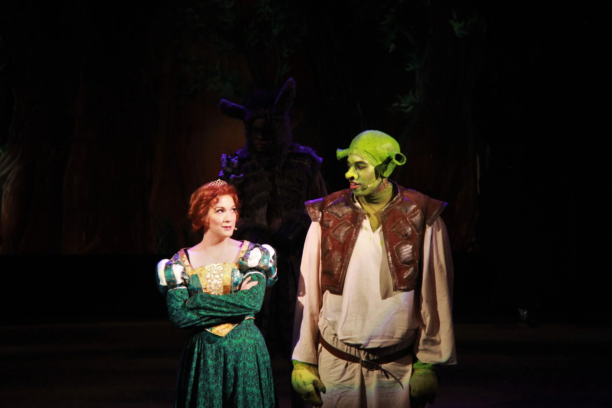 Shrek (Princess Fiona)