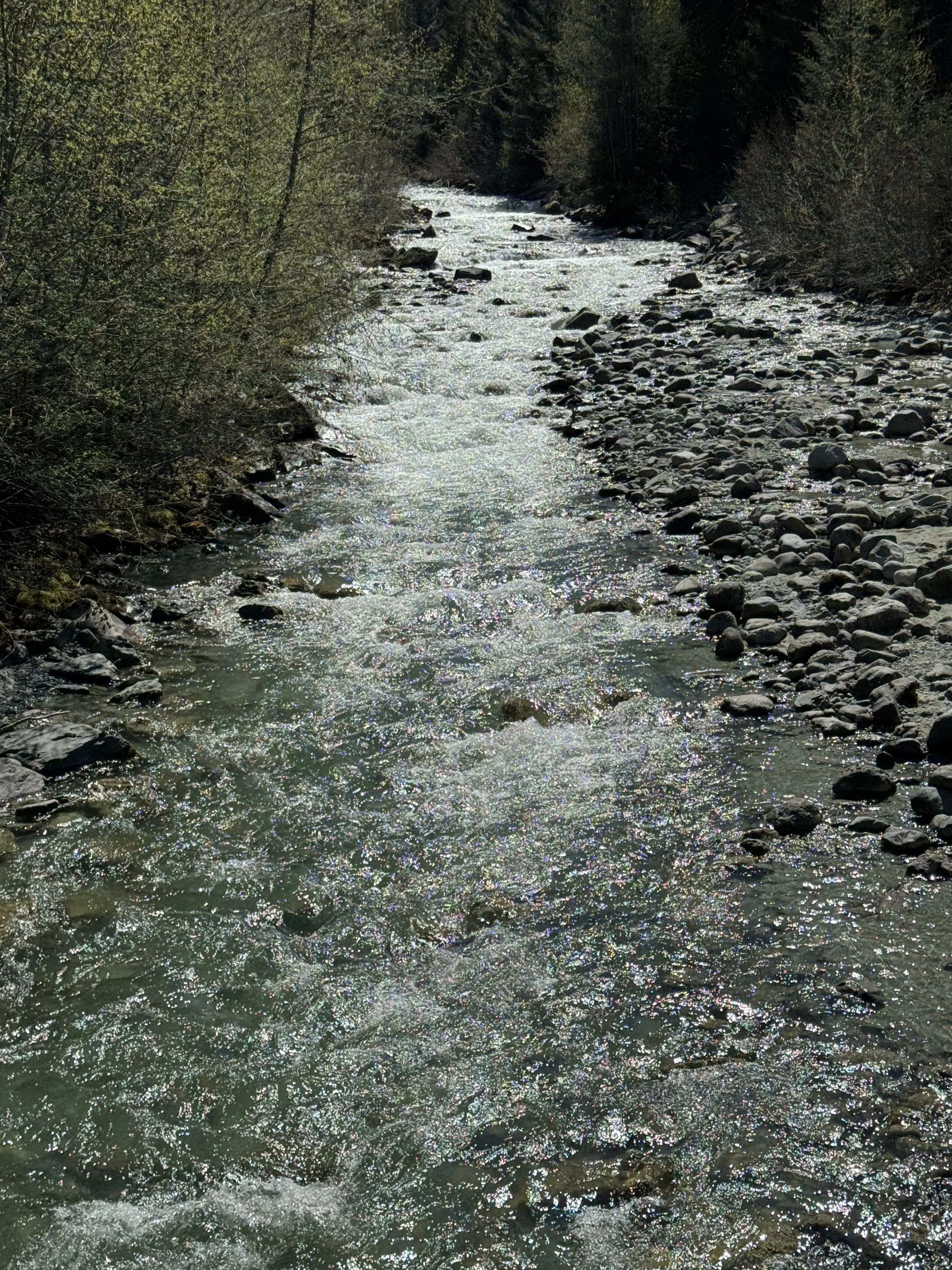Esmée-3.jpg