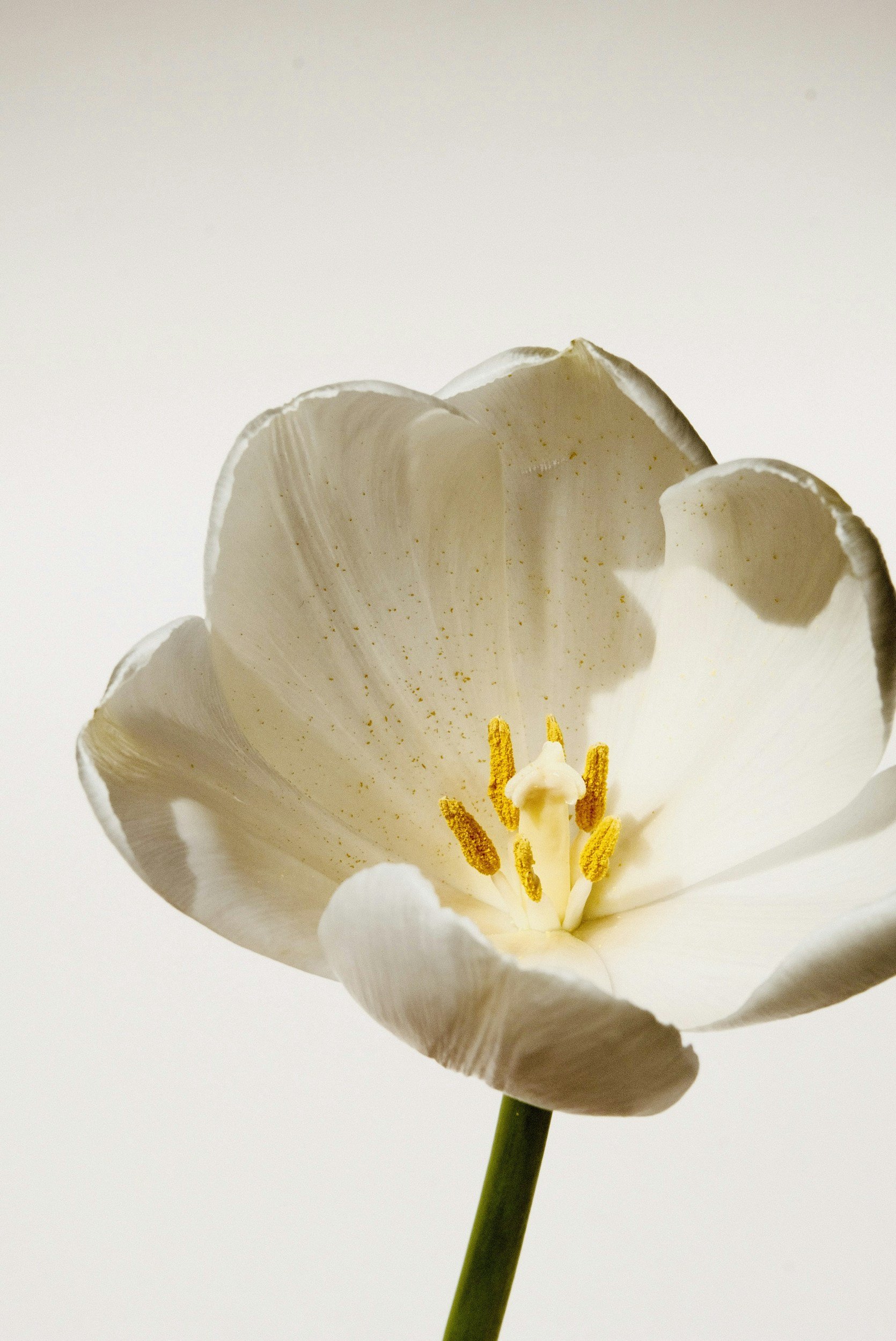 What Is Trauma? Understanding How Trauma Can Affect the Mind and Body