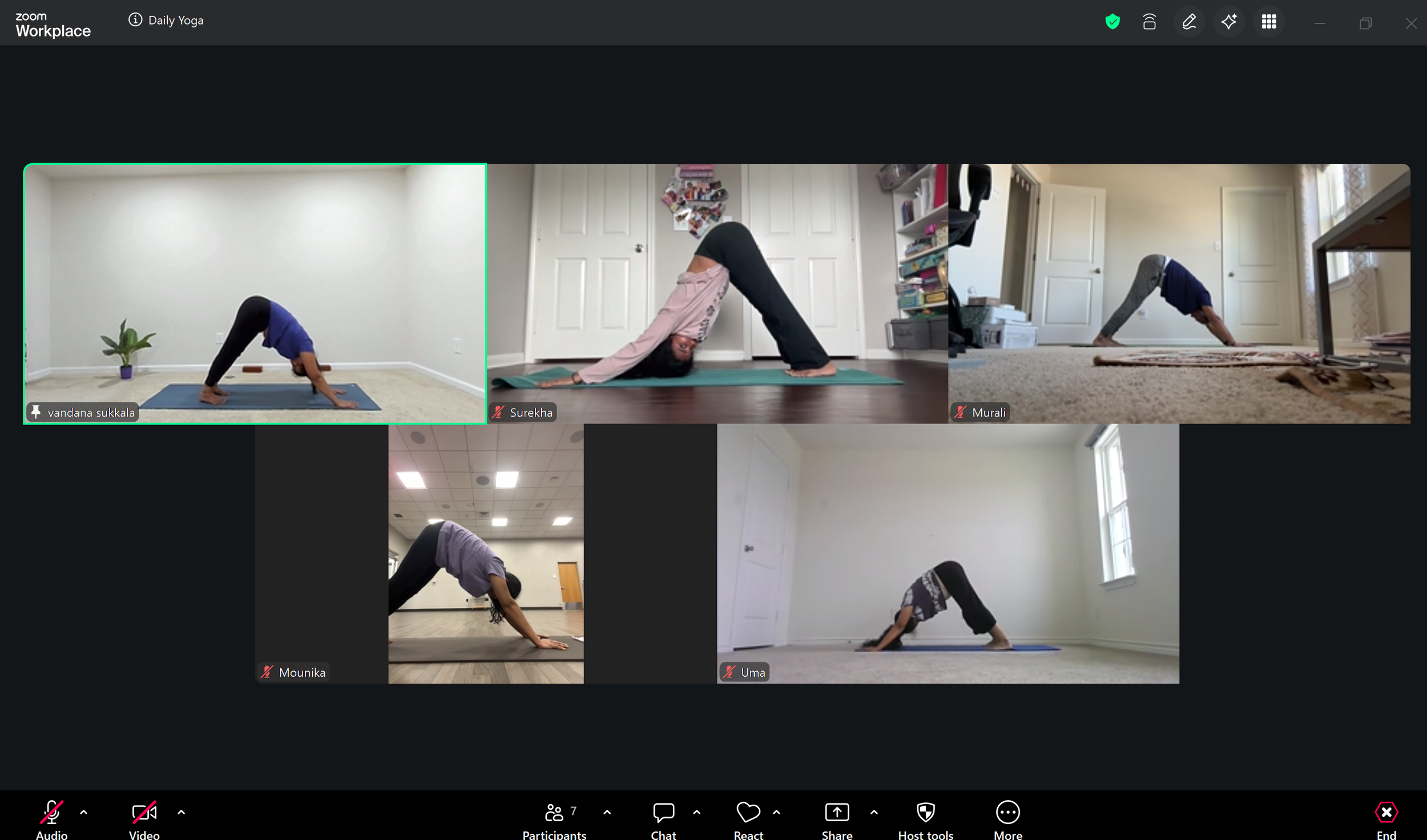 Online yoga class participants practicing downward dog pose at slow n steady yoga with vandana