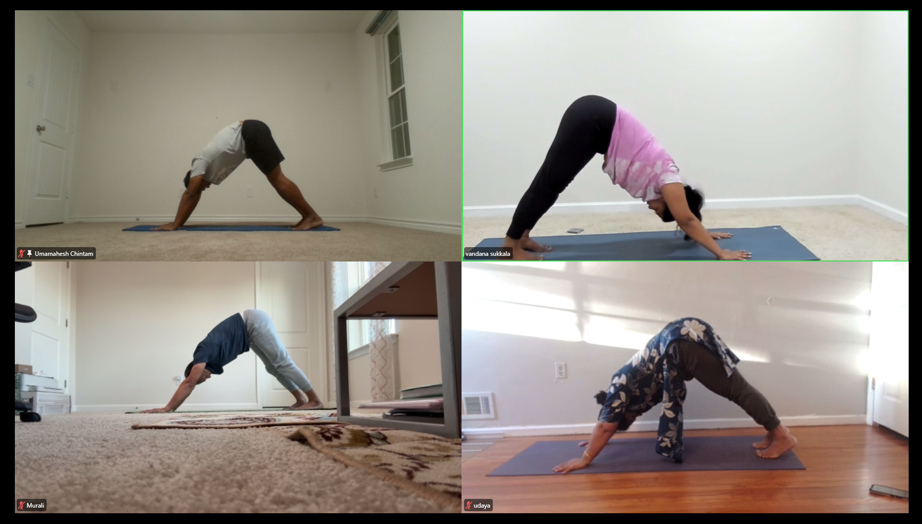 Students practicing mountain pose in online hatha class at Slow N Steady Yoga: