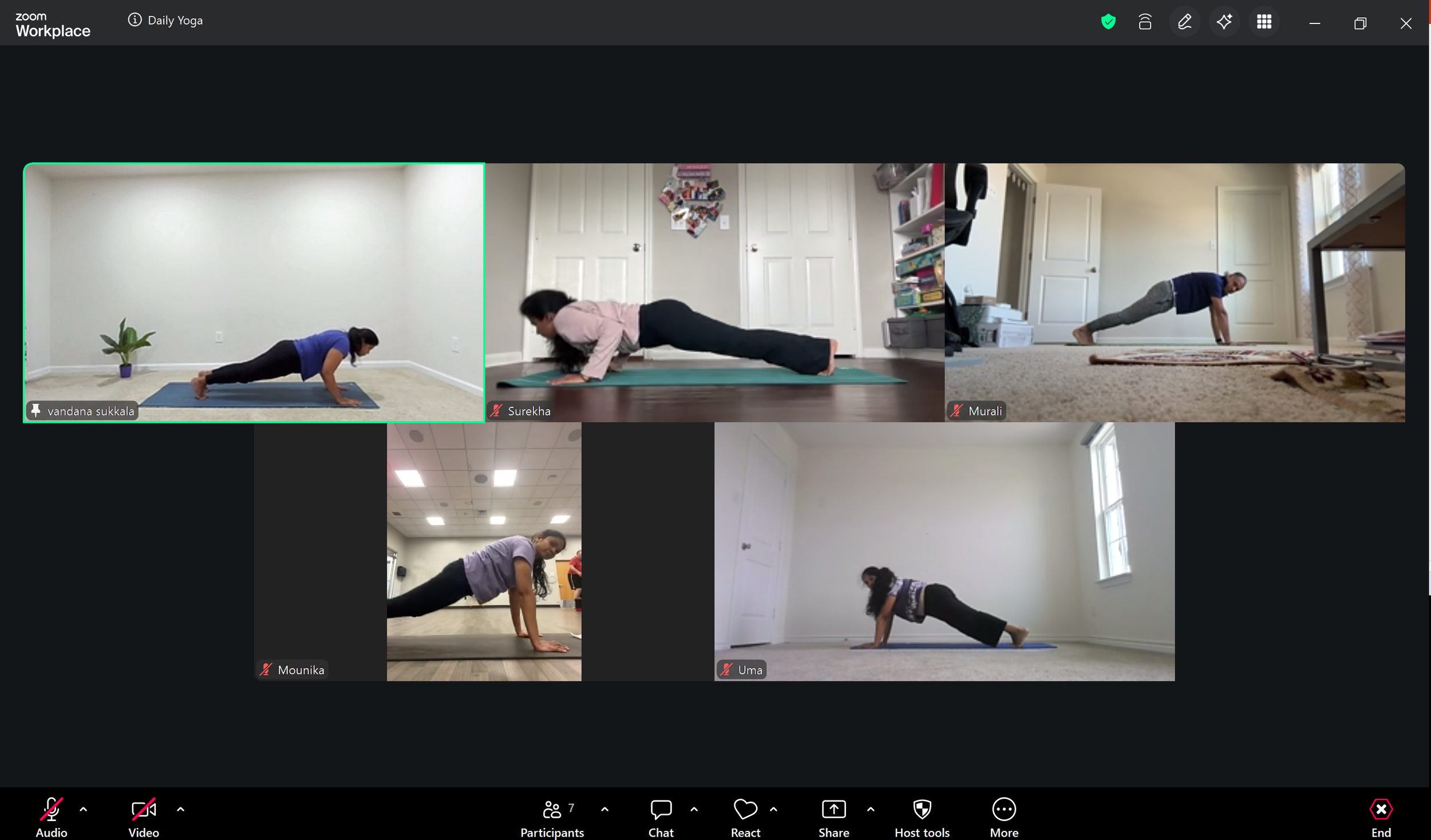 People practicing plank pose in Slow and steady yoga class online