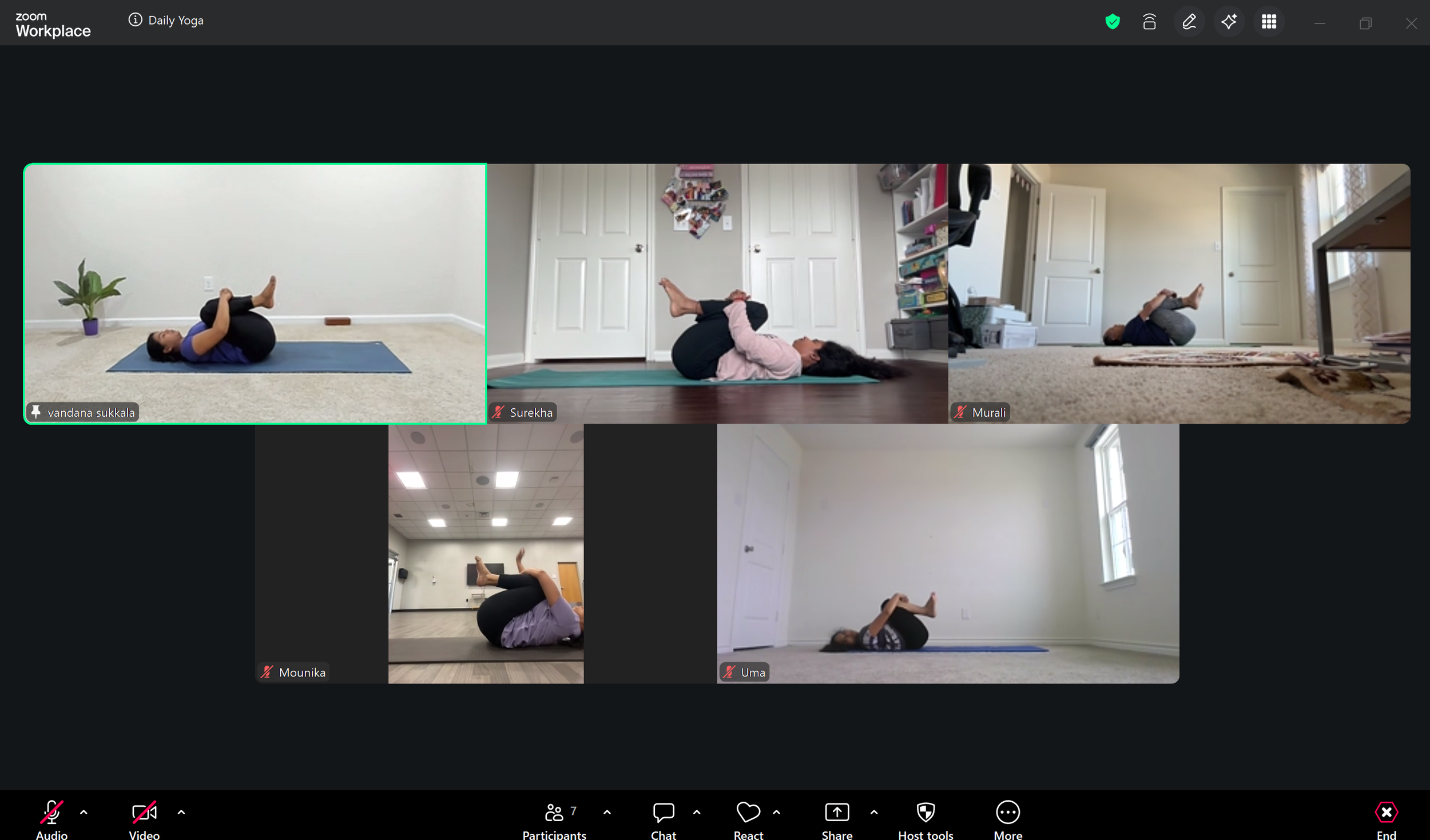 Slow N Steady Online Zoom hatha yoga class