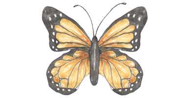 Butterfly--6 Month Package