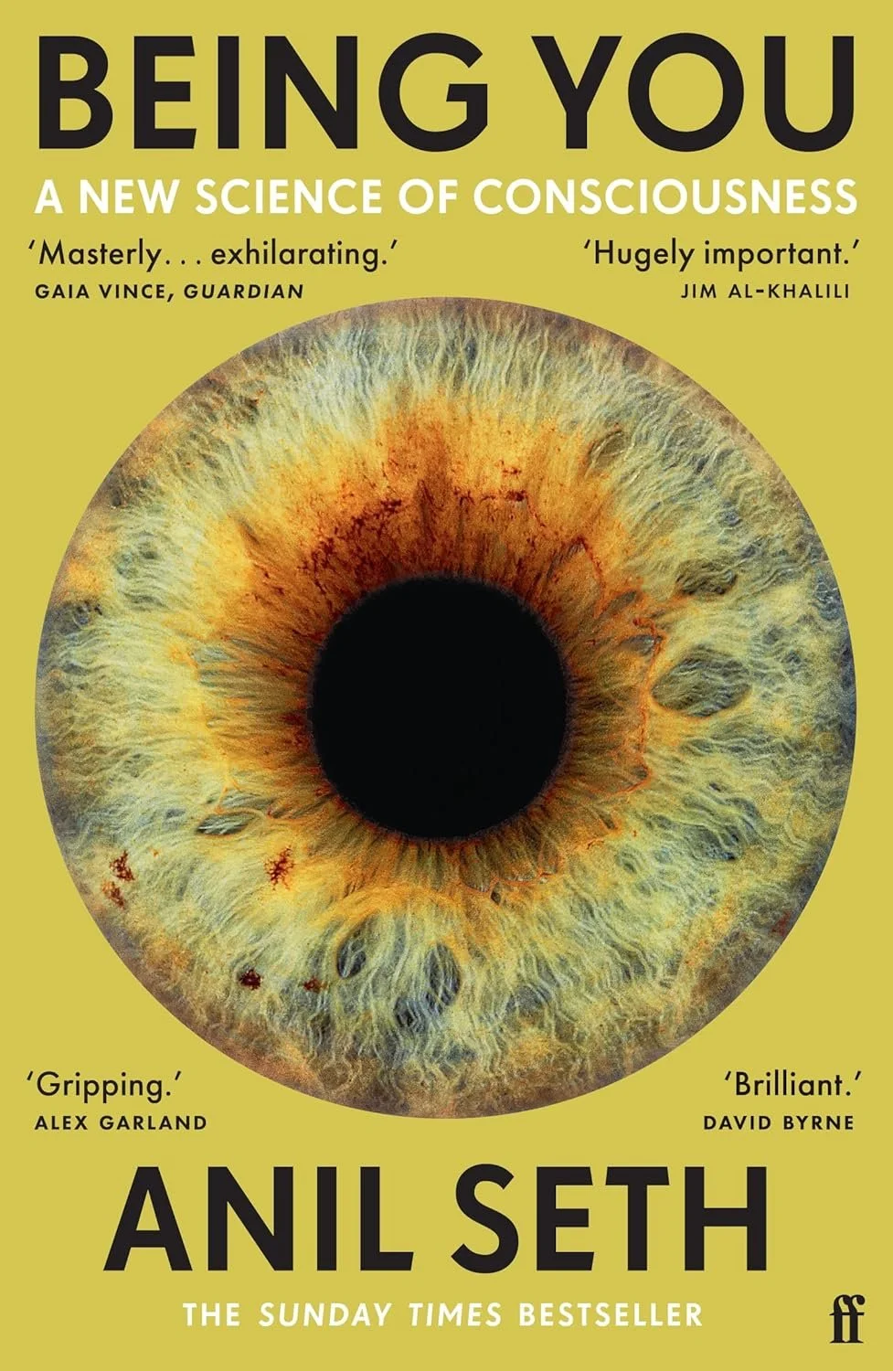 You Are a Controlled Hallucination: What If Consciousness Is Something Your Brain Does—Not Something You Have?