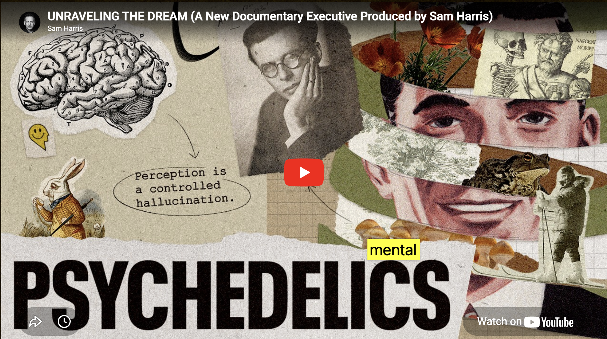 Can Psychedelics Show You the Truth About Your Mind?
