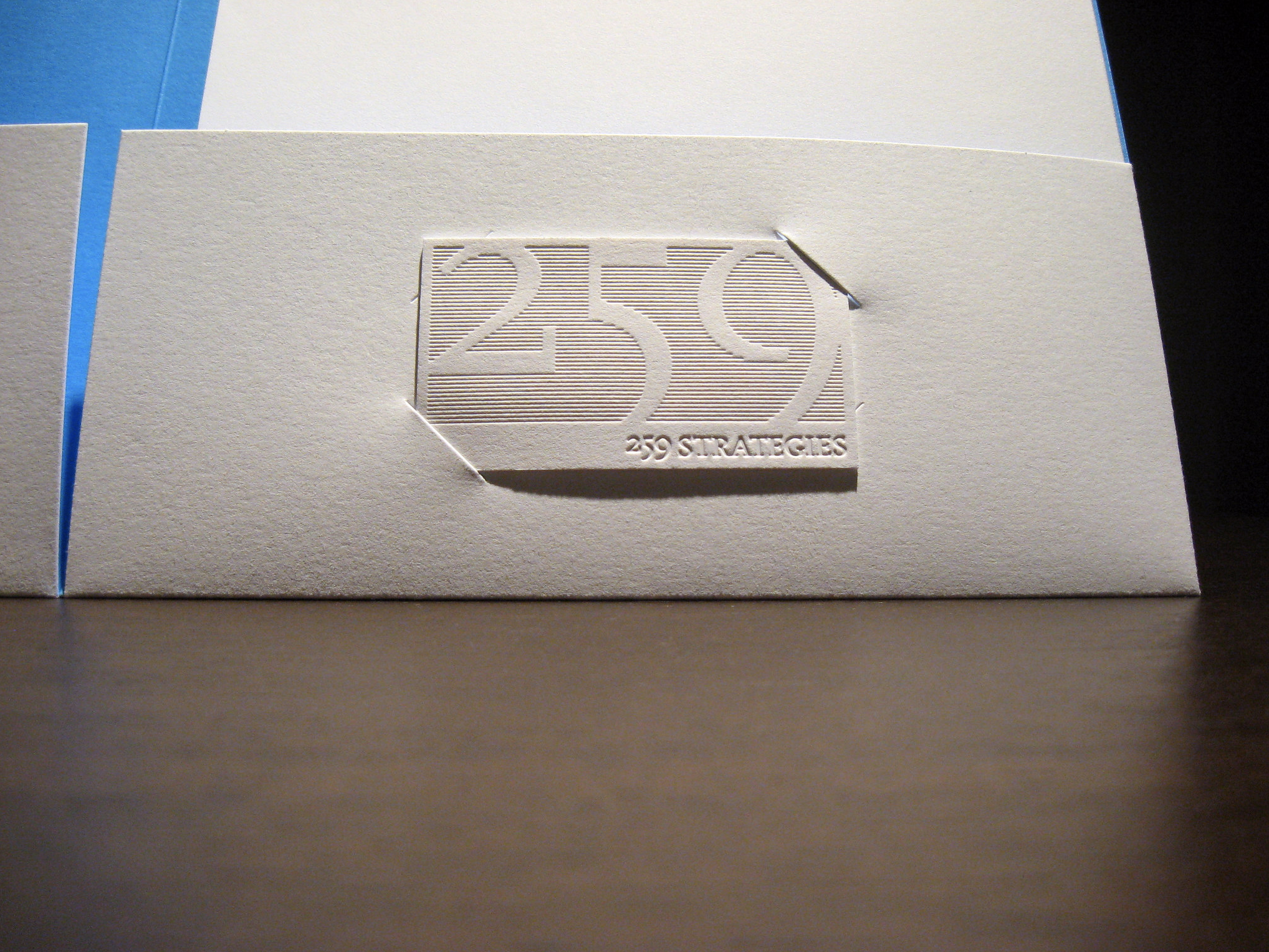 259 Strategies Business Card
