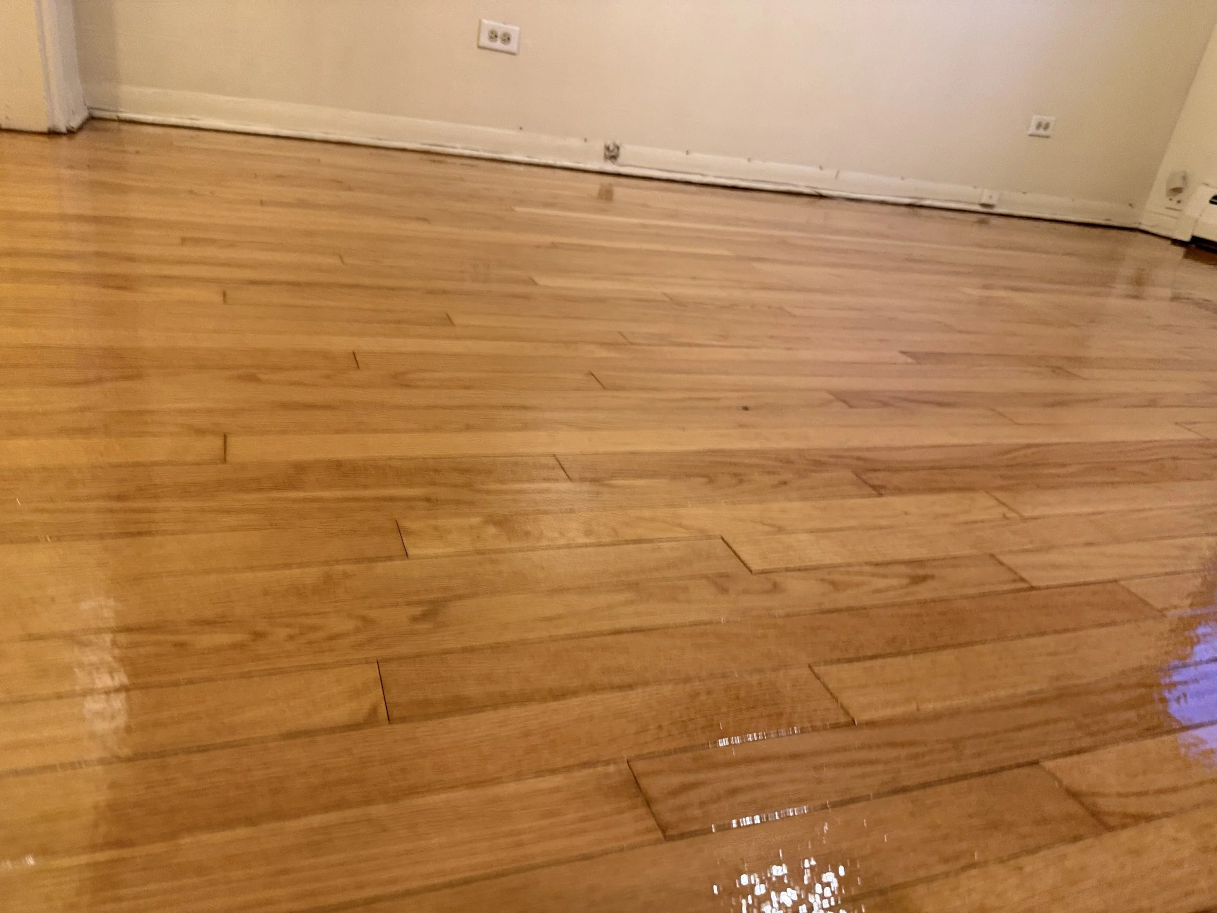 Hardwood flooring refinished with renewed color and a durable protective finish in a Plattville home