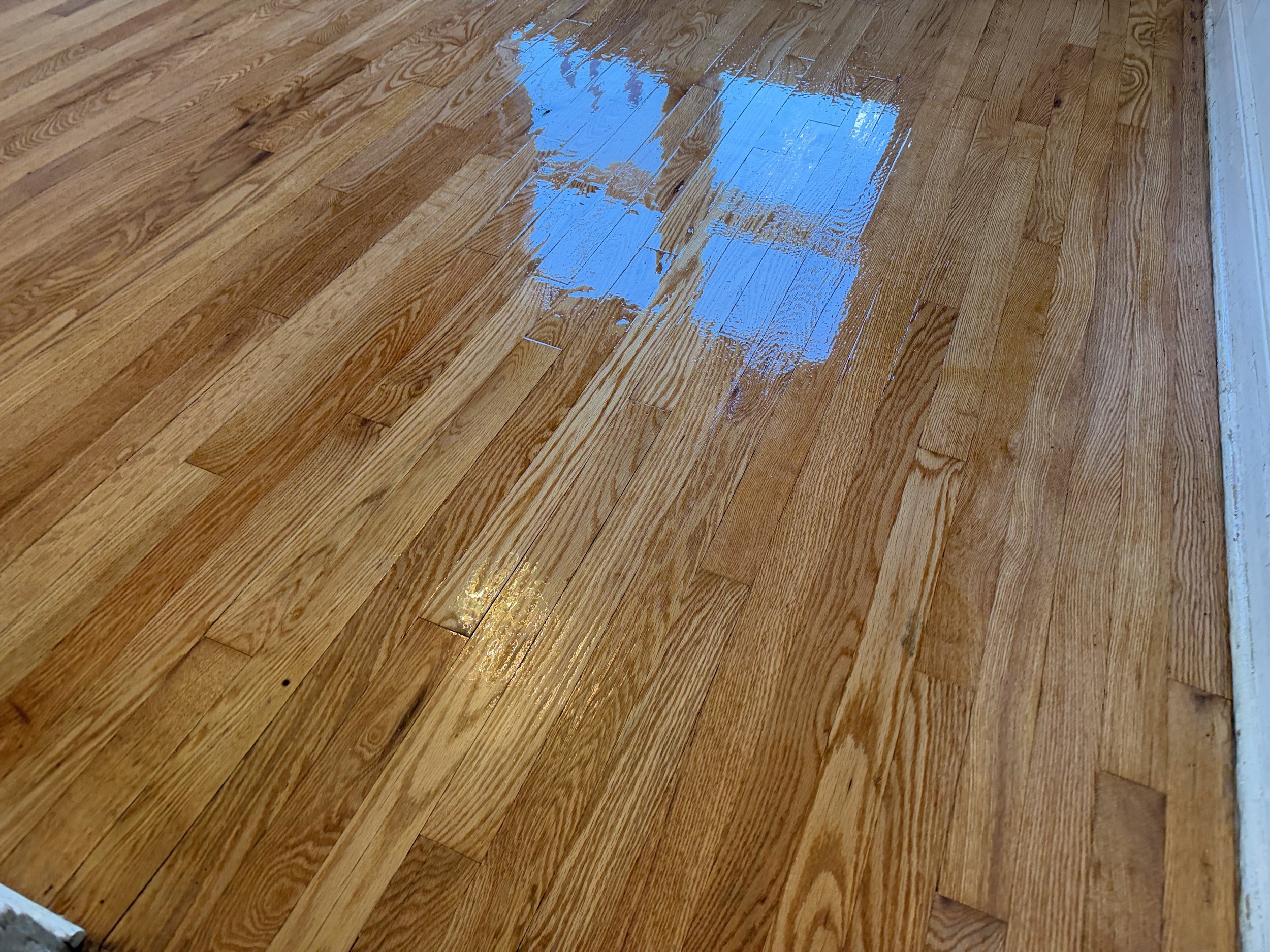 Existing hardwood floor refinished to highlight its wood grain and provide a renewed protective finish in Wayne, Illinois