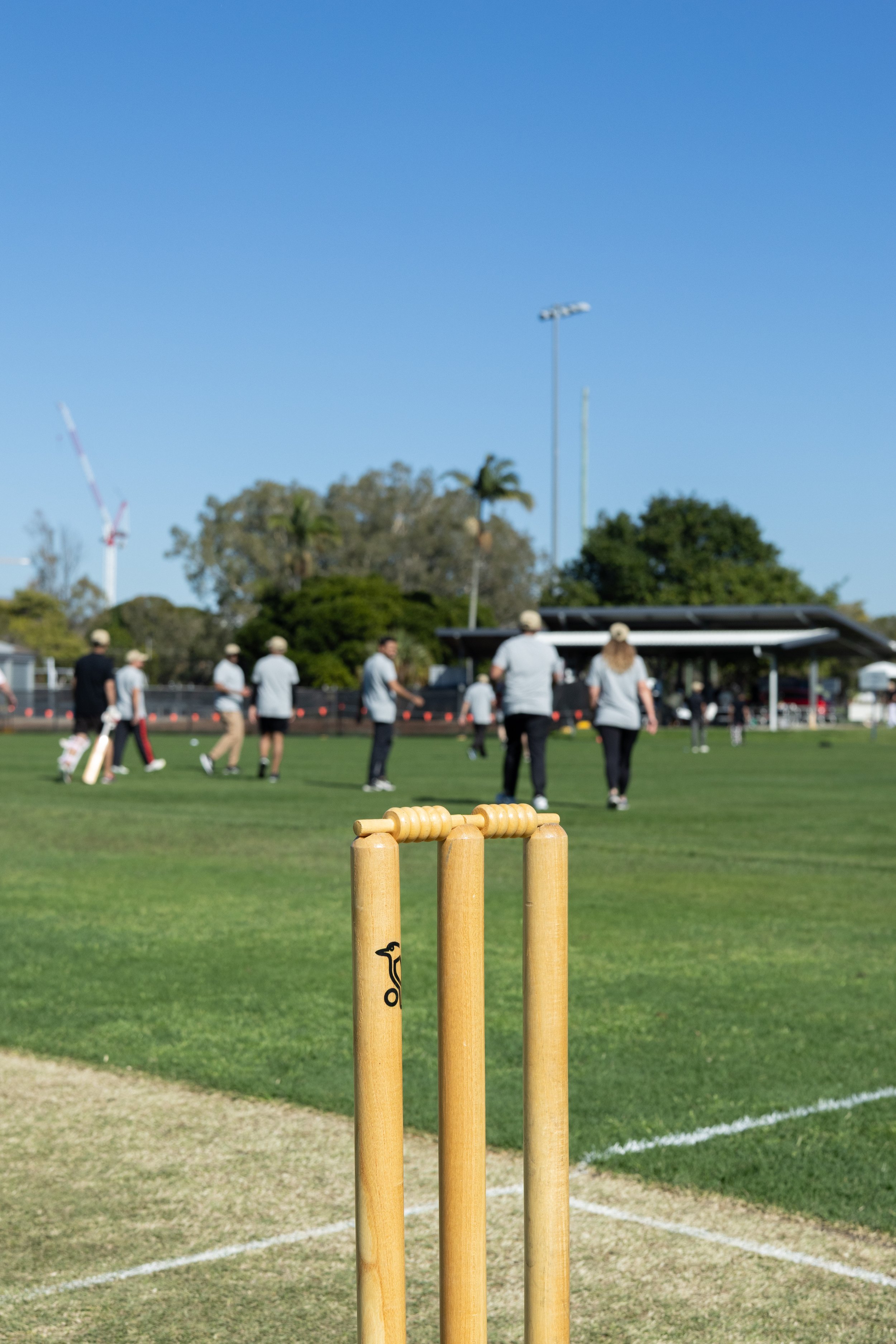 Cricket wickets with players in the background on a grassy field, a blue sky, and some trees.