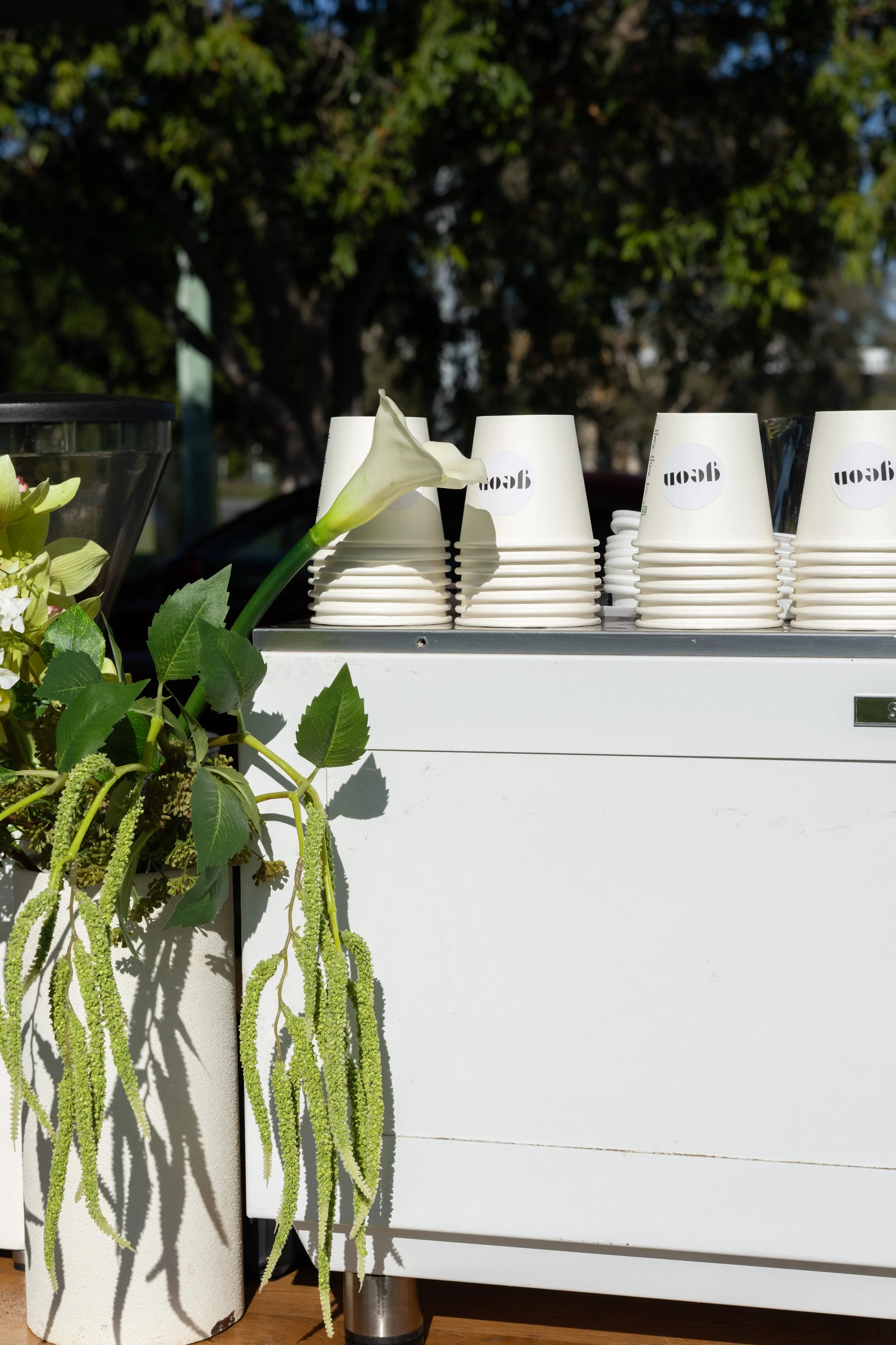 A white outdoor table with a stacked set of paper coffee cups that have a logo but the text is reversed, next to a white flower and green foliage, all against a background of trees and a sunny sky.