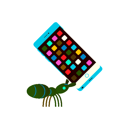 mobile-50.gif