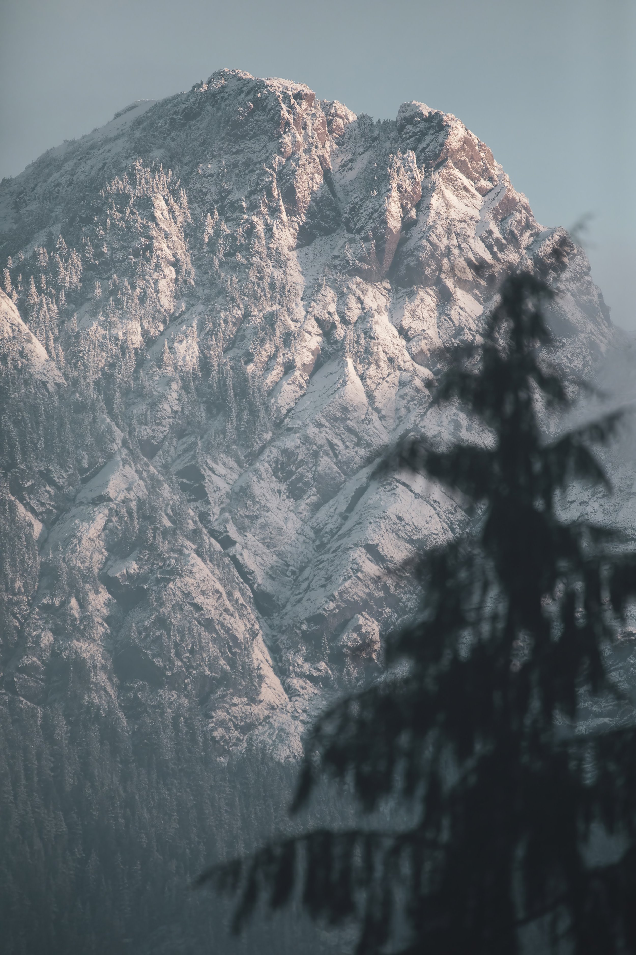 MoutchaMountain-standard.jpg