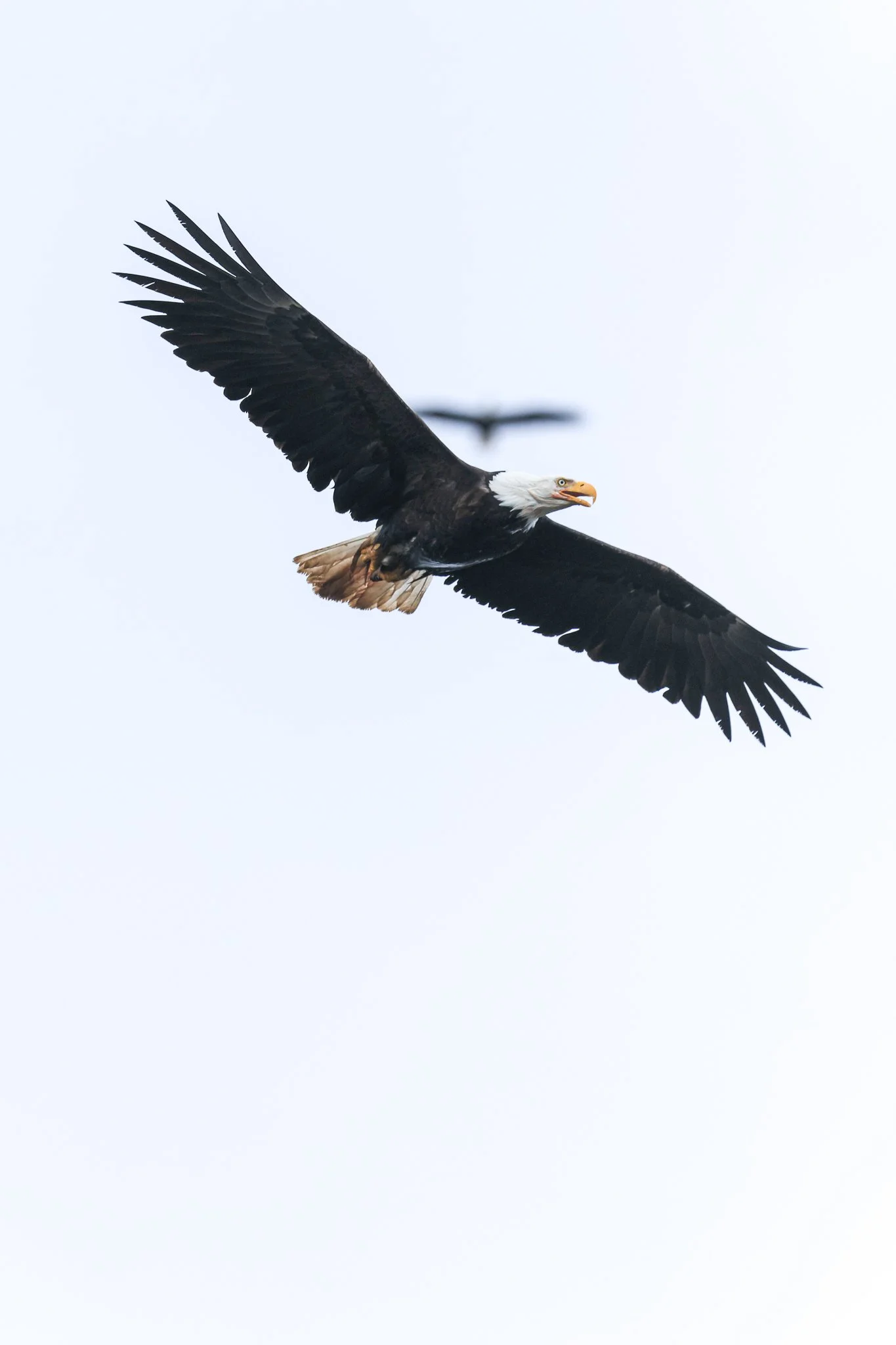PortRenfrew-11.jpg