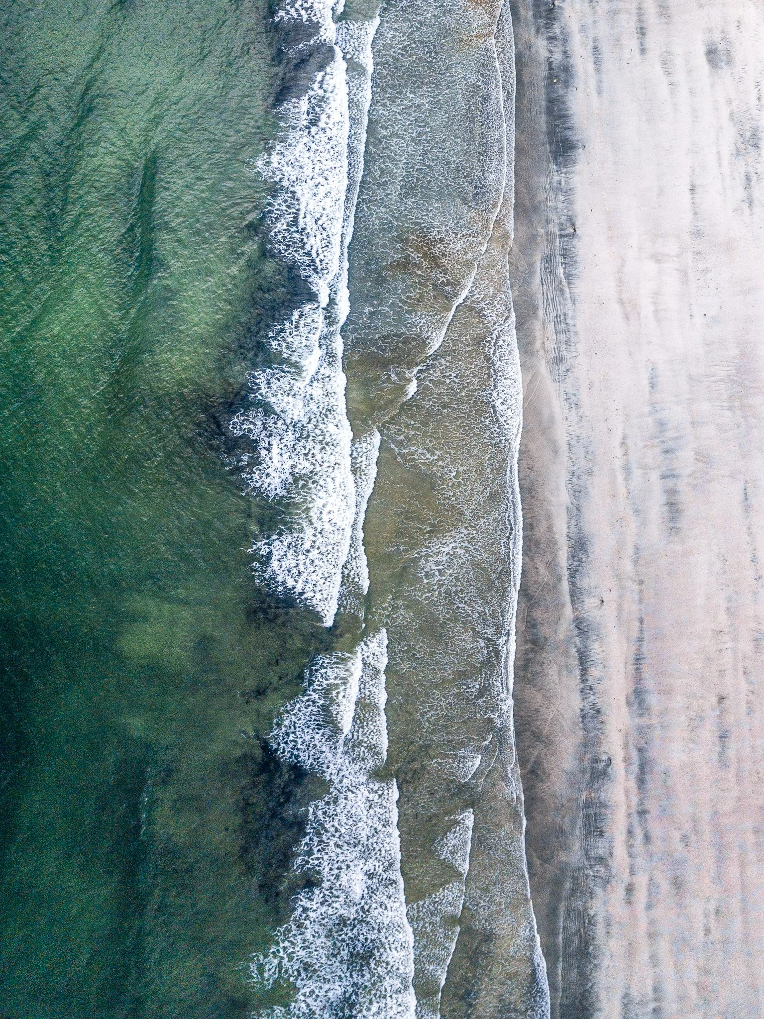cedar 1 .jpg