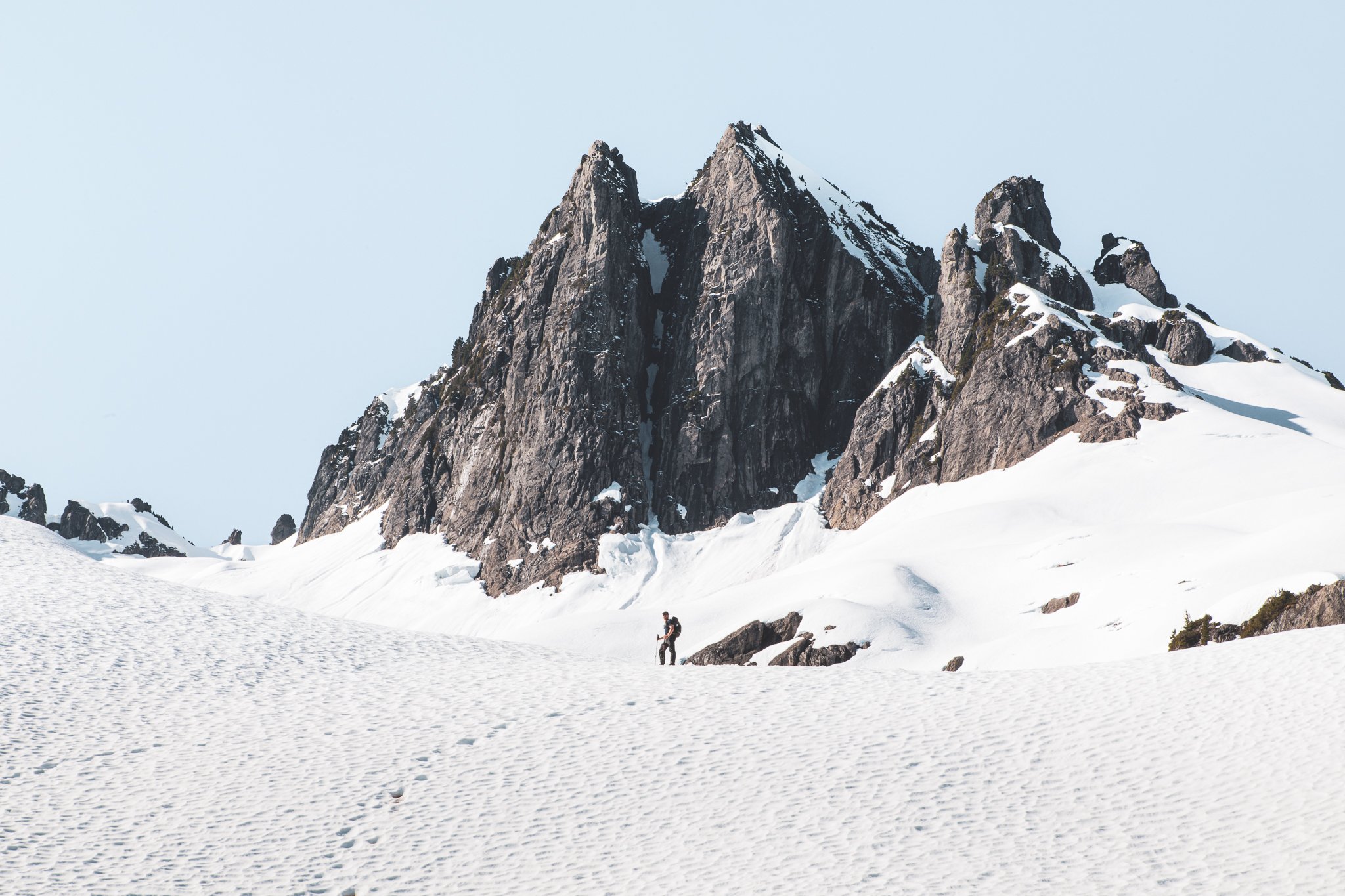 Hemlock-10.jpg