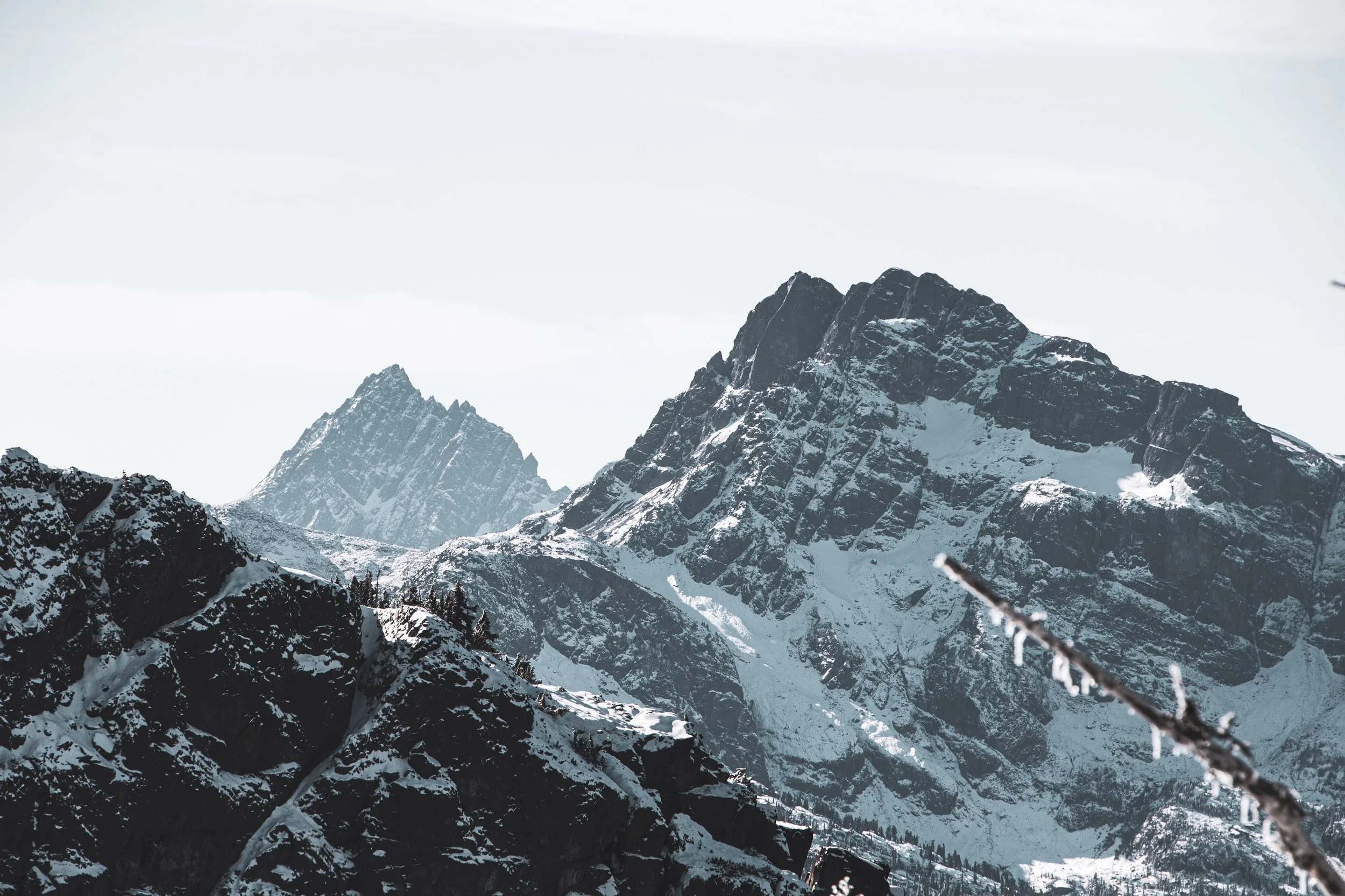 Untitled-6.jpg