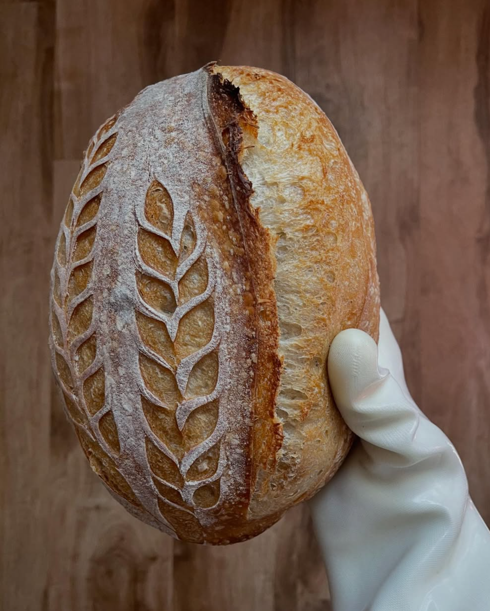 Sourdough Sylvie X Infinnovate