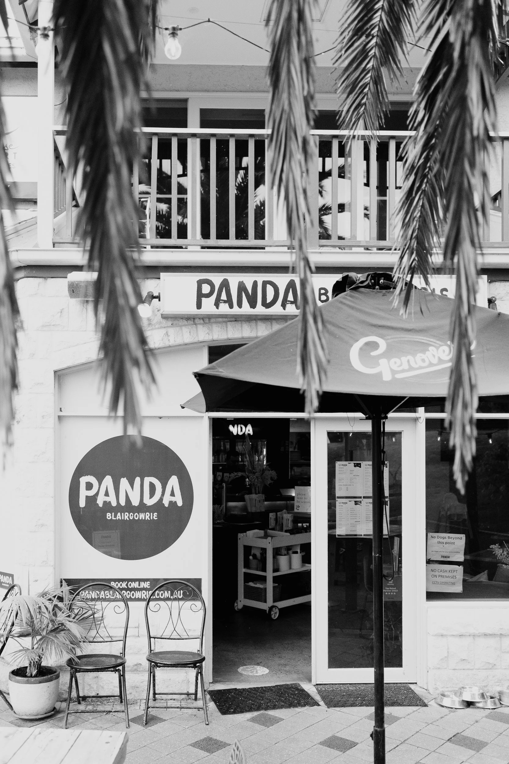 panda-blairgowrie-birthday-gurvinder-nirmaan-photography-10.jpg