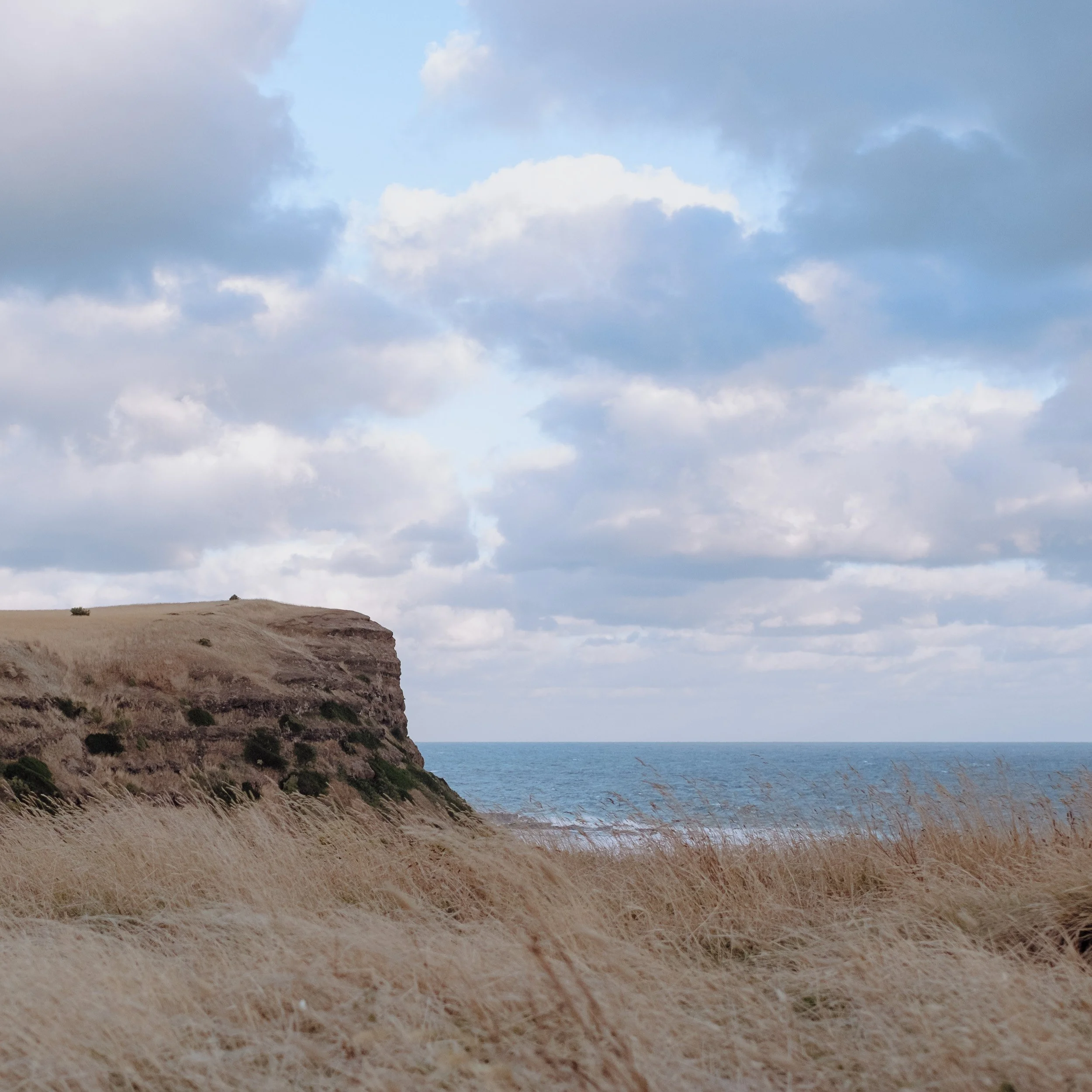 melbourne-elopement-cainsbay-mornington-gurvinder-nirmaan-photography-22.jpg