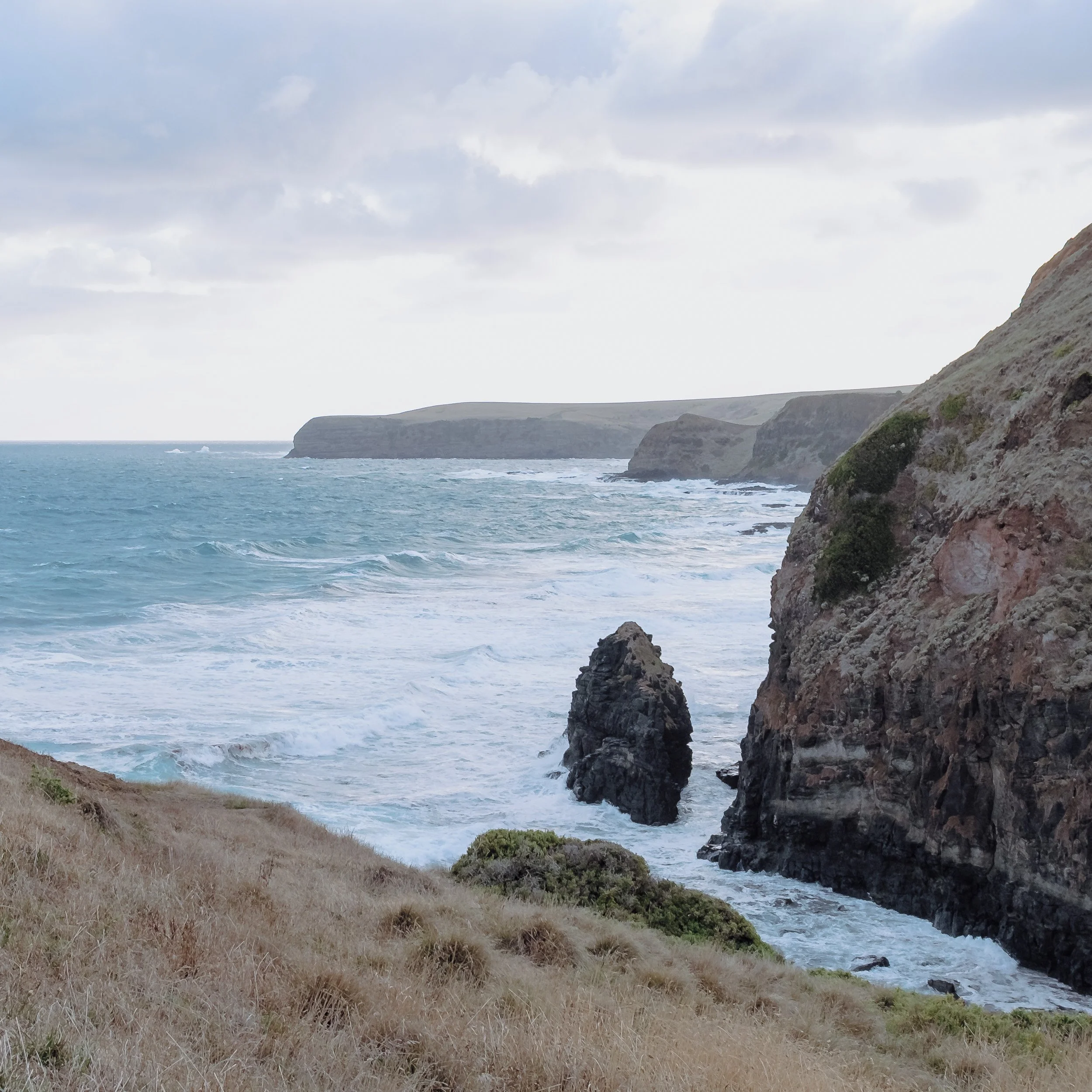 melbourne-elopement-cainsbay-mornington-gurvinder-nirmaan-photography-20.jpg