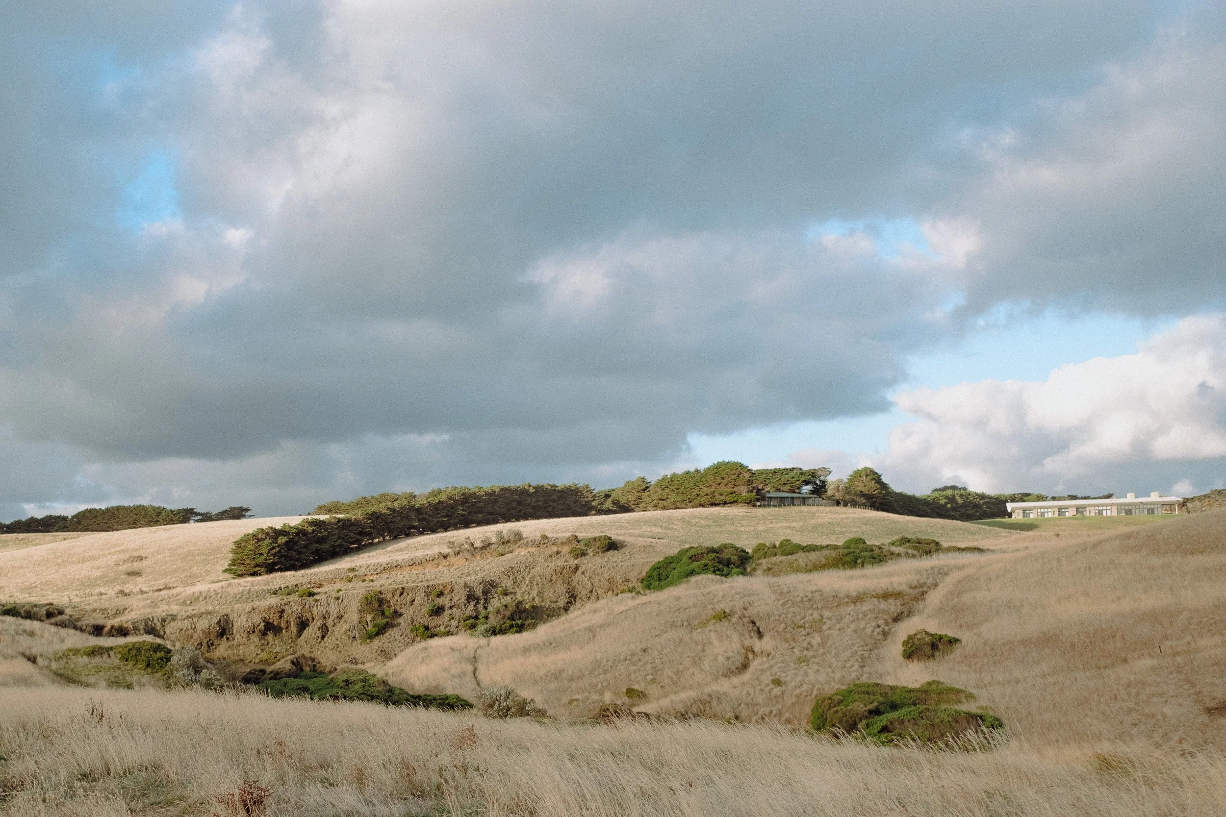 melbourne-elopement-cainsbay-mornington-gurvinder-nirmaan-photography-19.jpg
