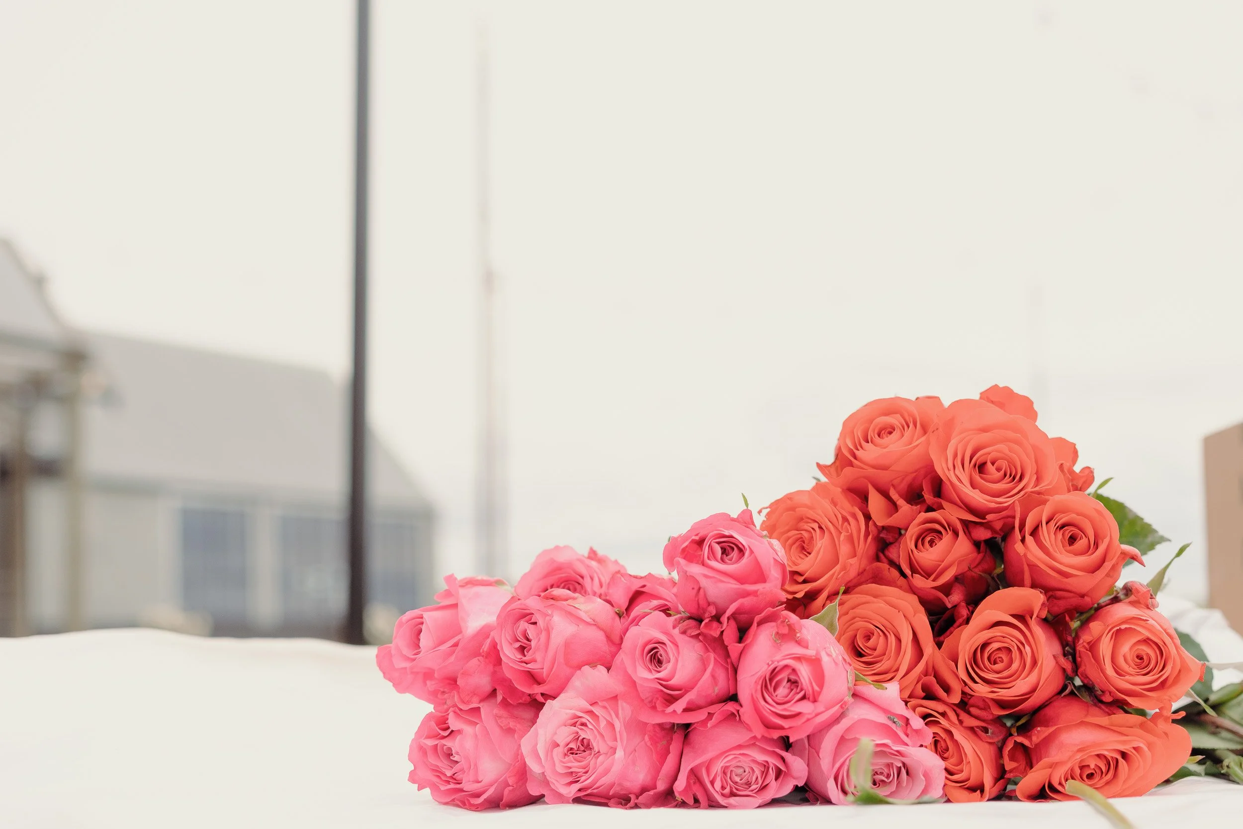 nirmaan-wedding-portfolio-footer-06.jpg