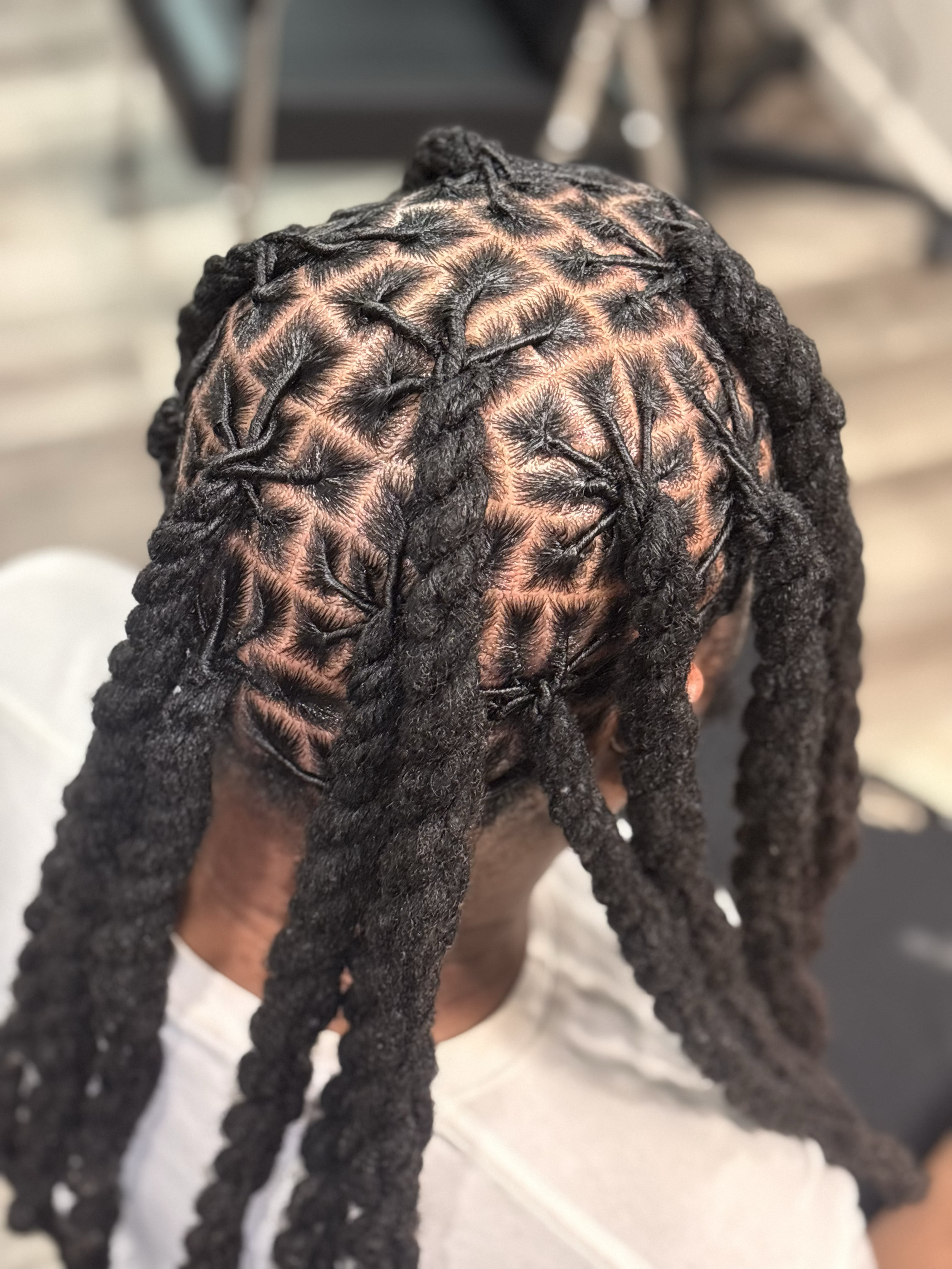 A person with neatly styled black dreadlocks. The top of the head is visible with the hair sectioned and twisted into individual locks.