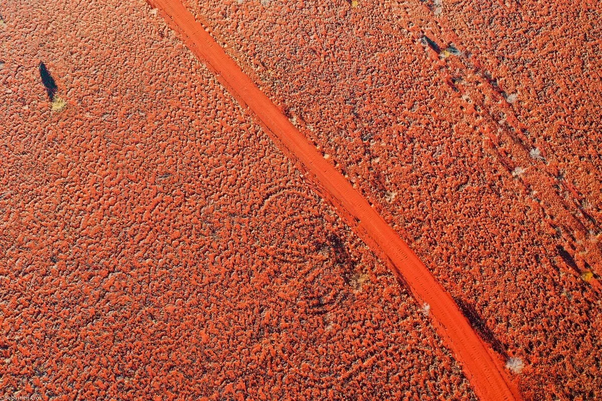 The red dirt track to Rainbow Valley, off the Stuart Highway, Northern Territory, seen from above.