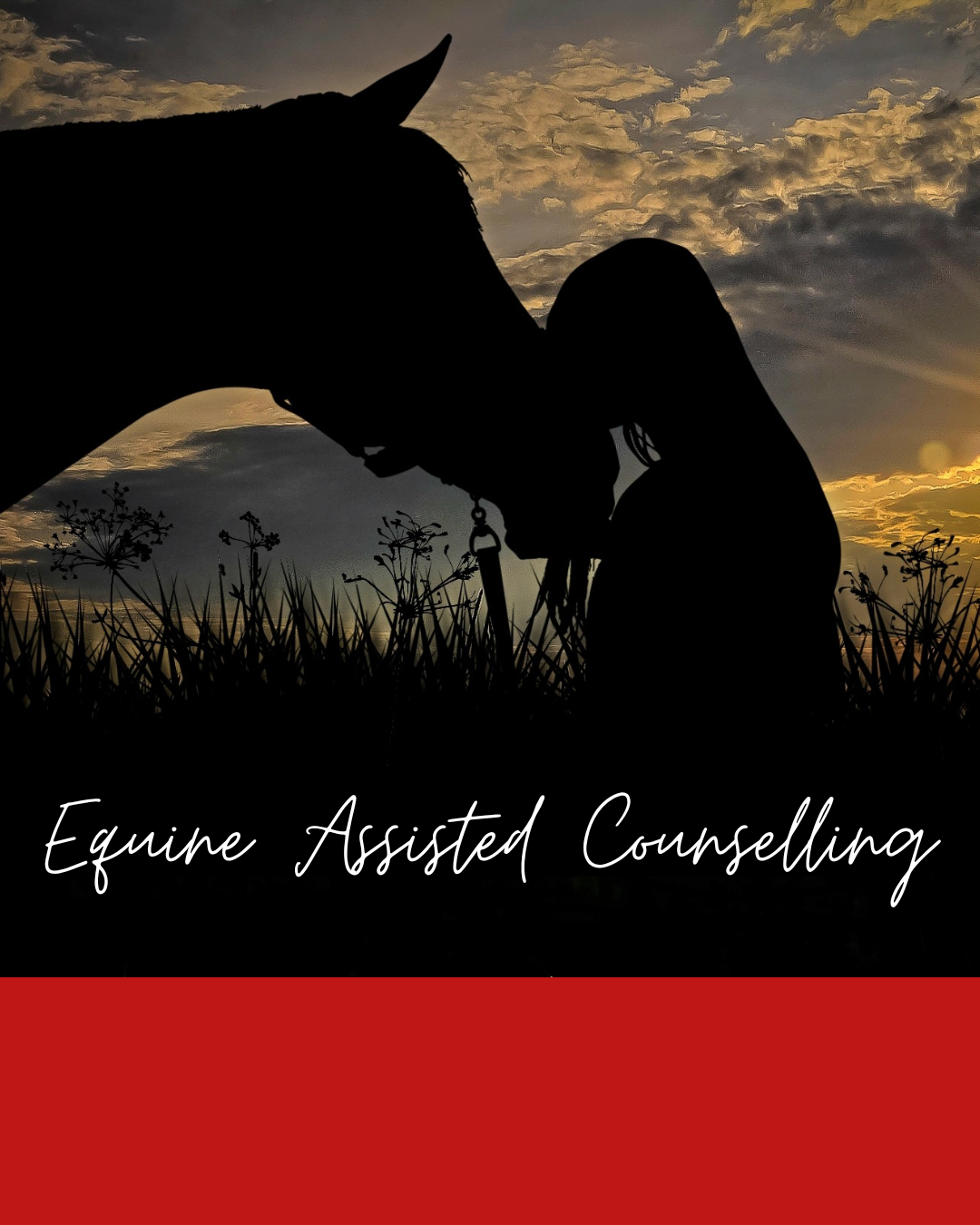 Equine Assisted Learning & Counselling