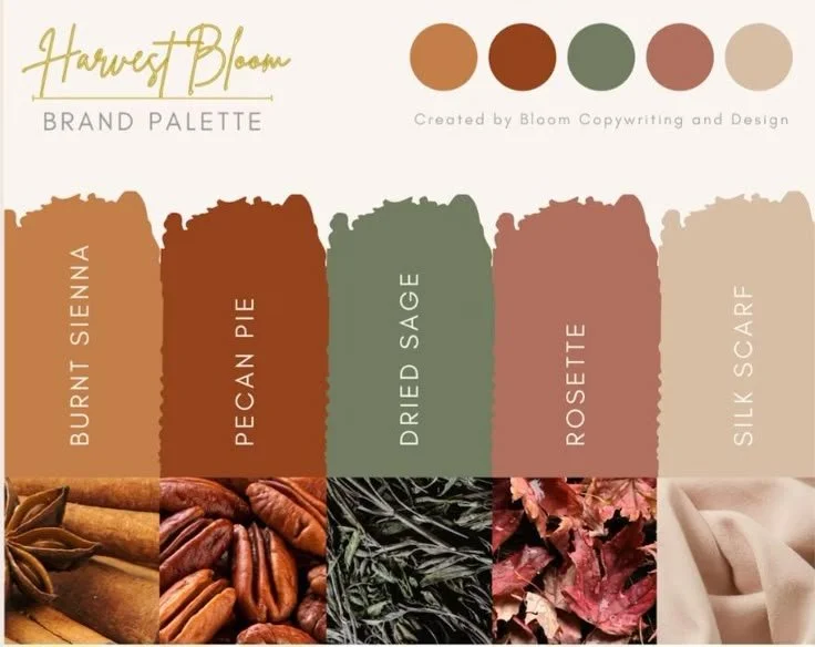 Our Color Scheme.jpeg
