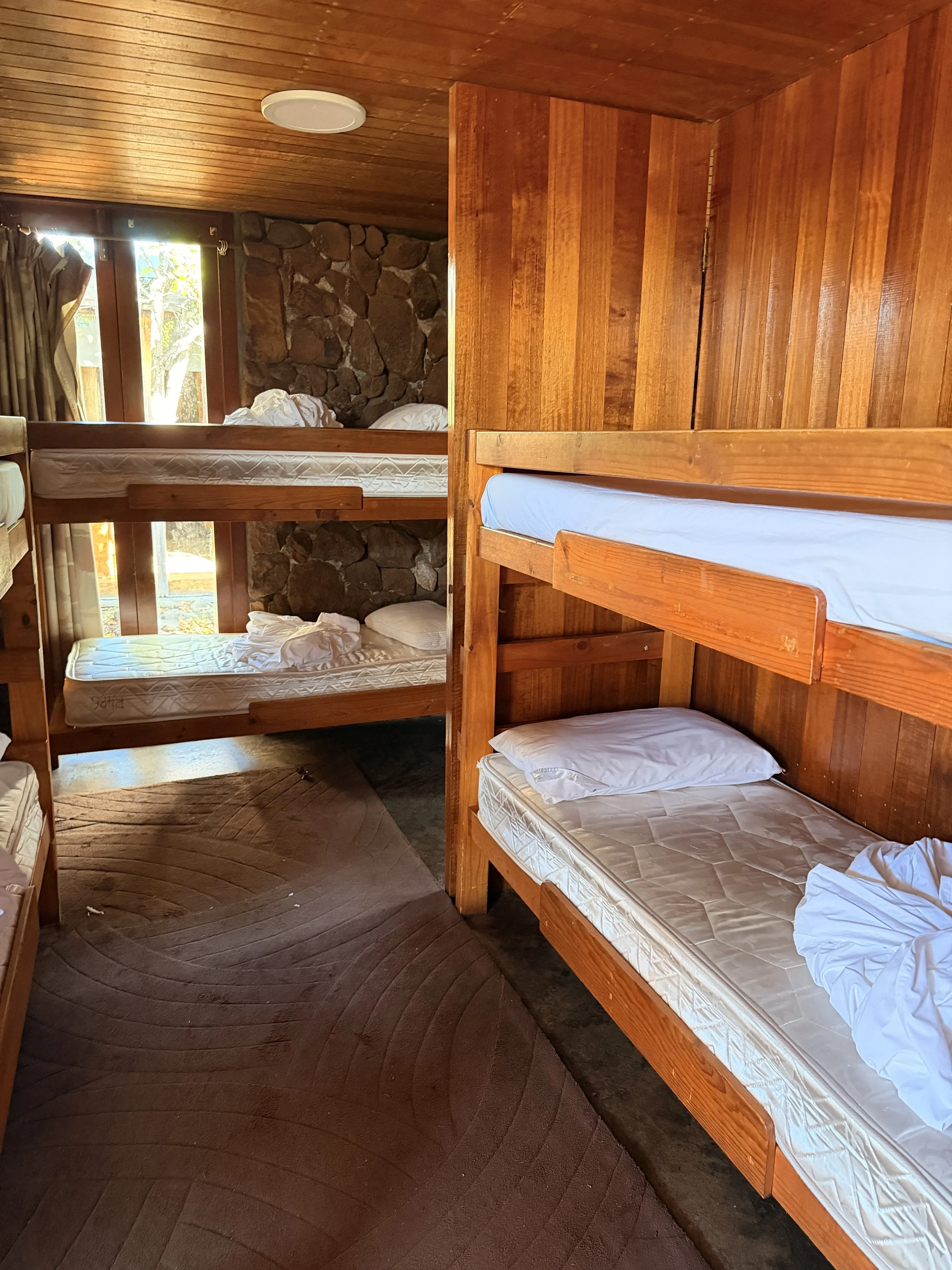 Private room & Ensuite - Bunk beds