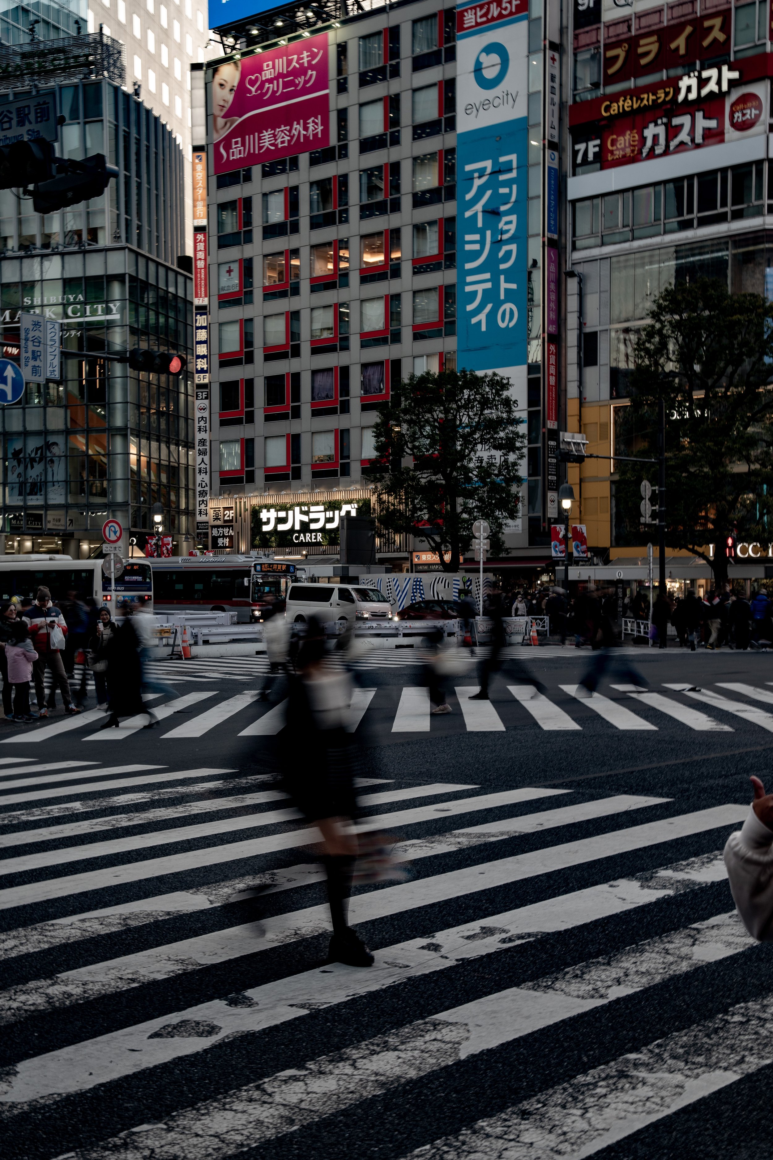 _A7C7519.jpg