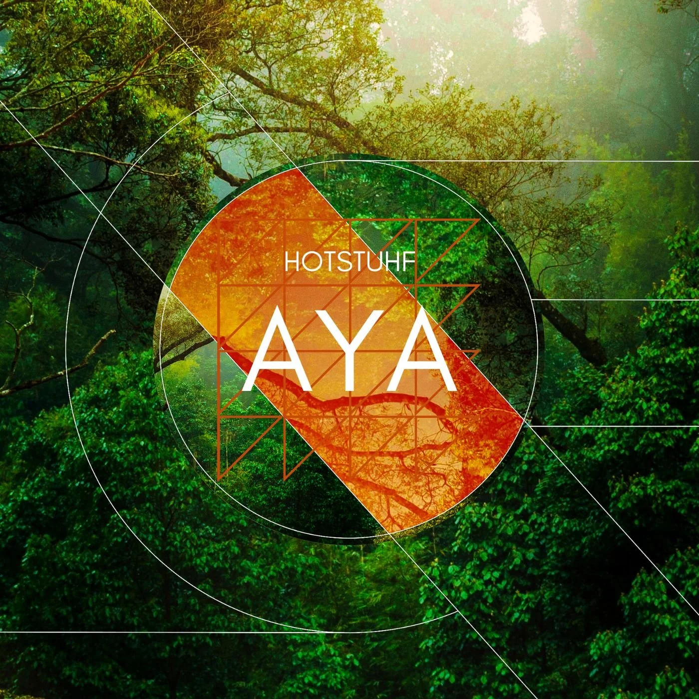 AYA.jpg