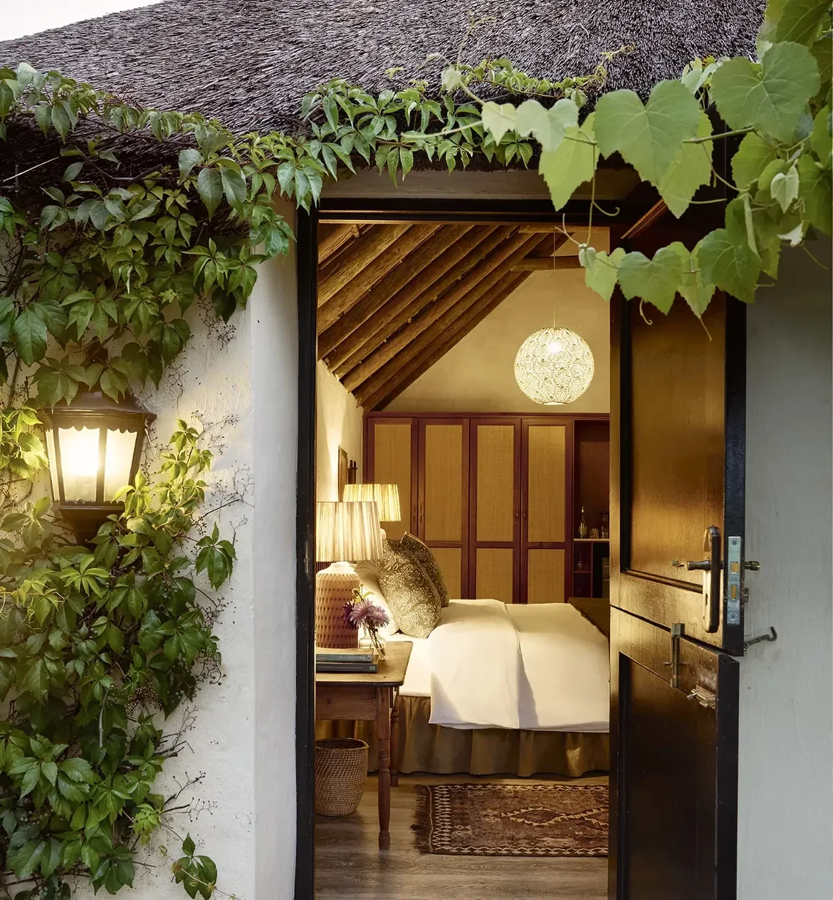 Elephant House, Addo – Where the Orchards Meet the Wild
