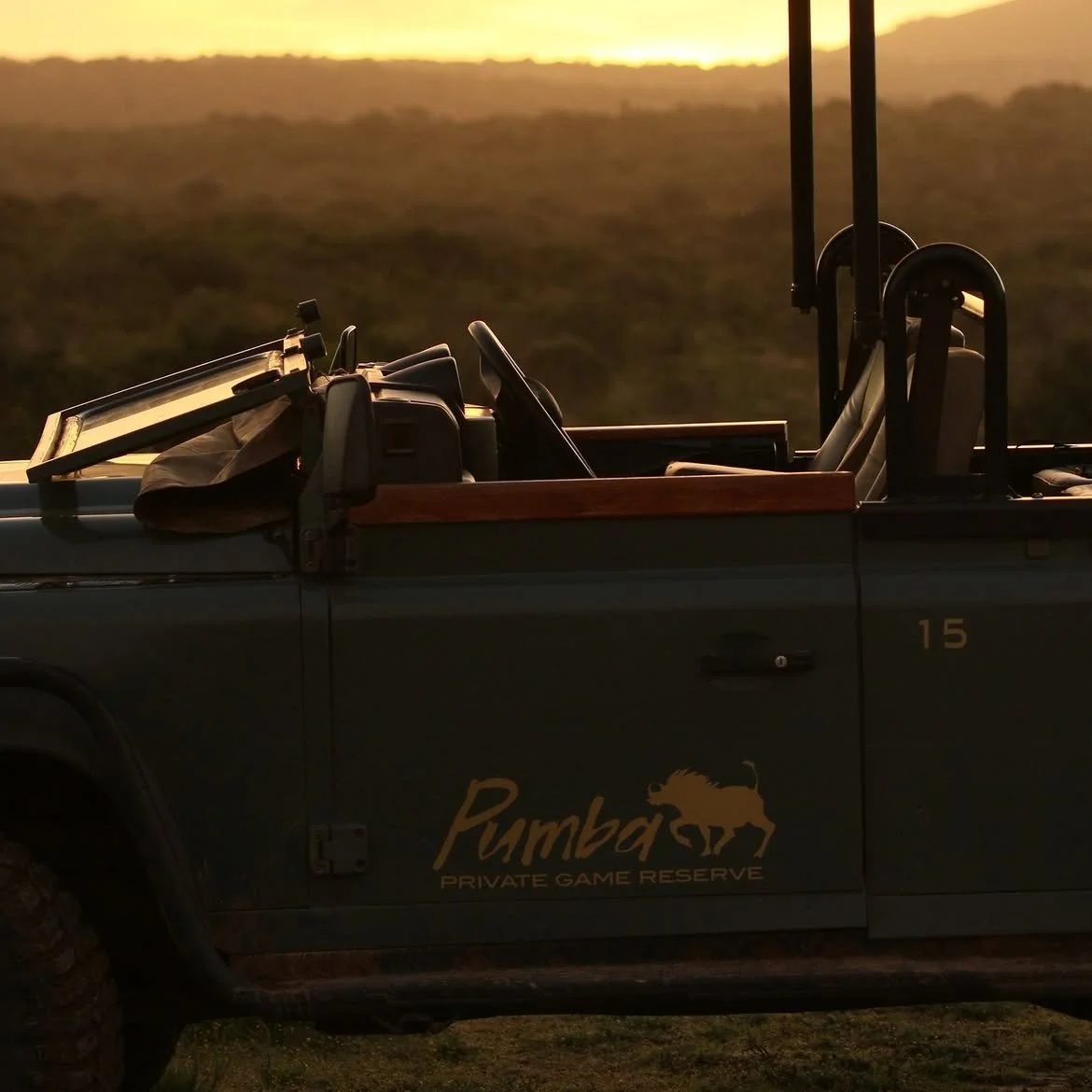 Pumba Private Game Reserve – Beyond Expectations