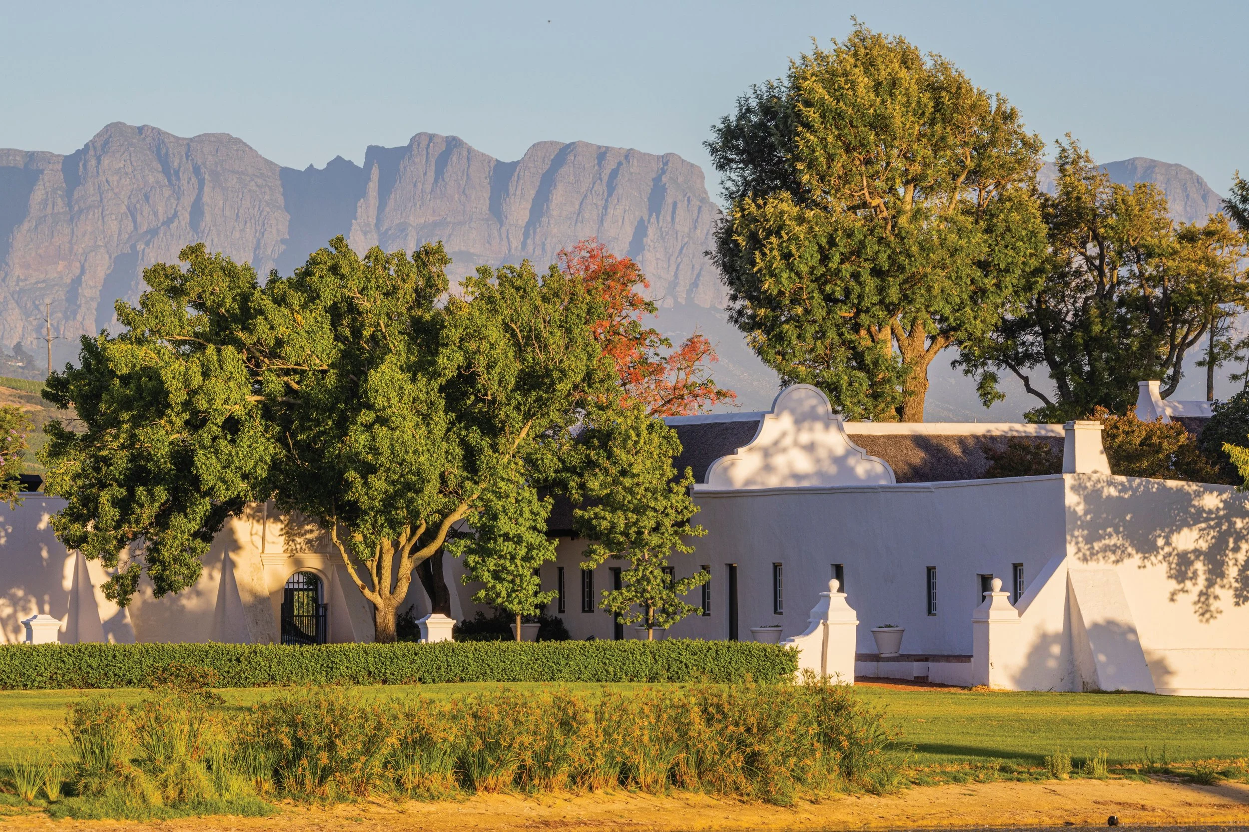 More Than a Wine Estate: Discovering Vergenoegd Löw