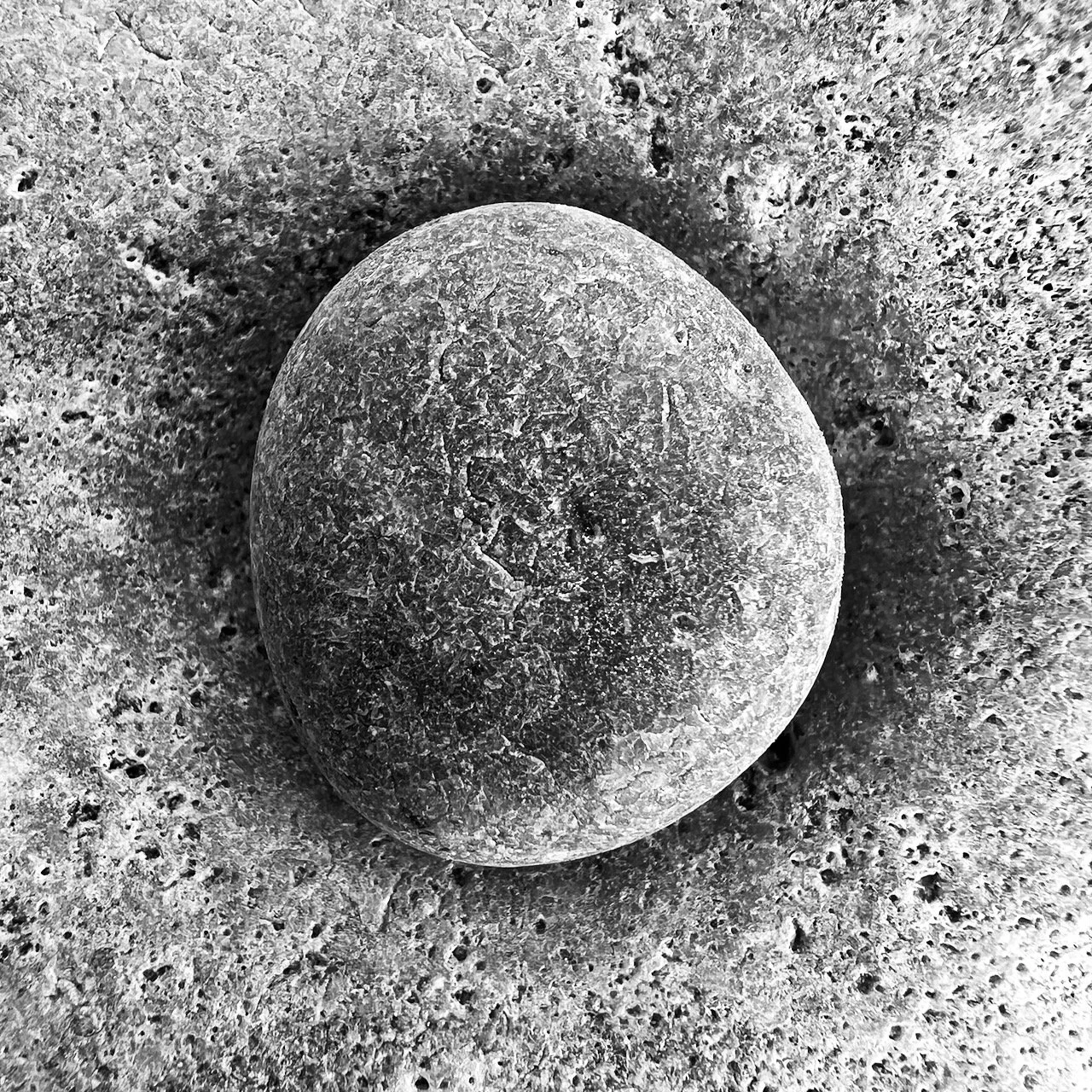 Close-up black-and-white photo of a textured, round stone on a rough surface.