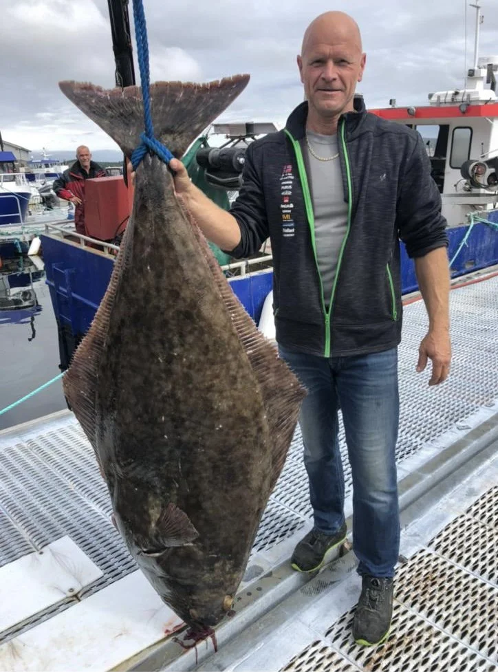 Ein Mann hält einen großen Fisch an einem Hafen, mit anderen Booten im Hintergrund.