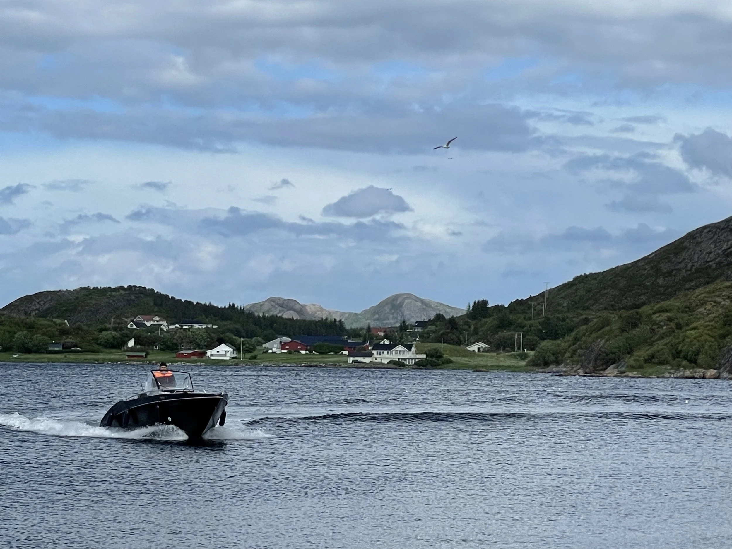Ein Boot fährt auf einem ruhigen See vorbei, umgeben von grünen Hügeln und kleinen Häusern. Der Himmel ist bewölkt und es fliegen Vögel im Himmel.