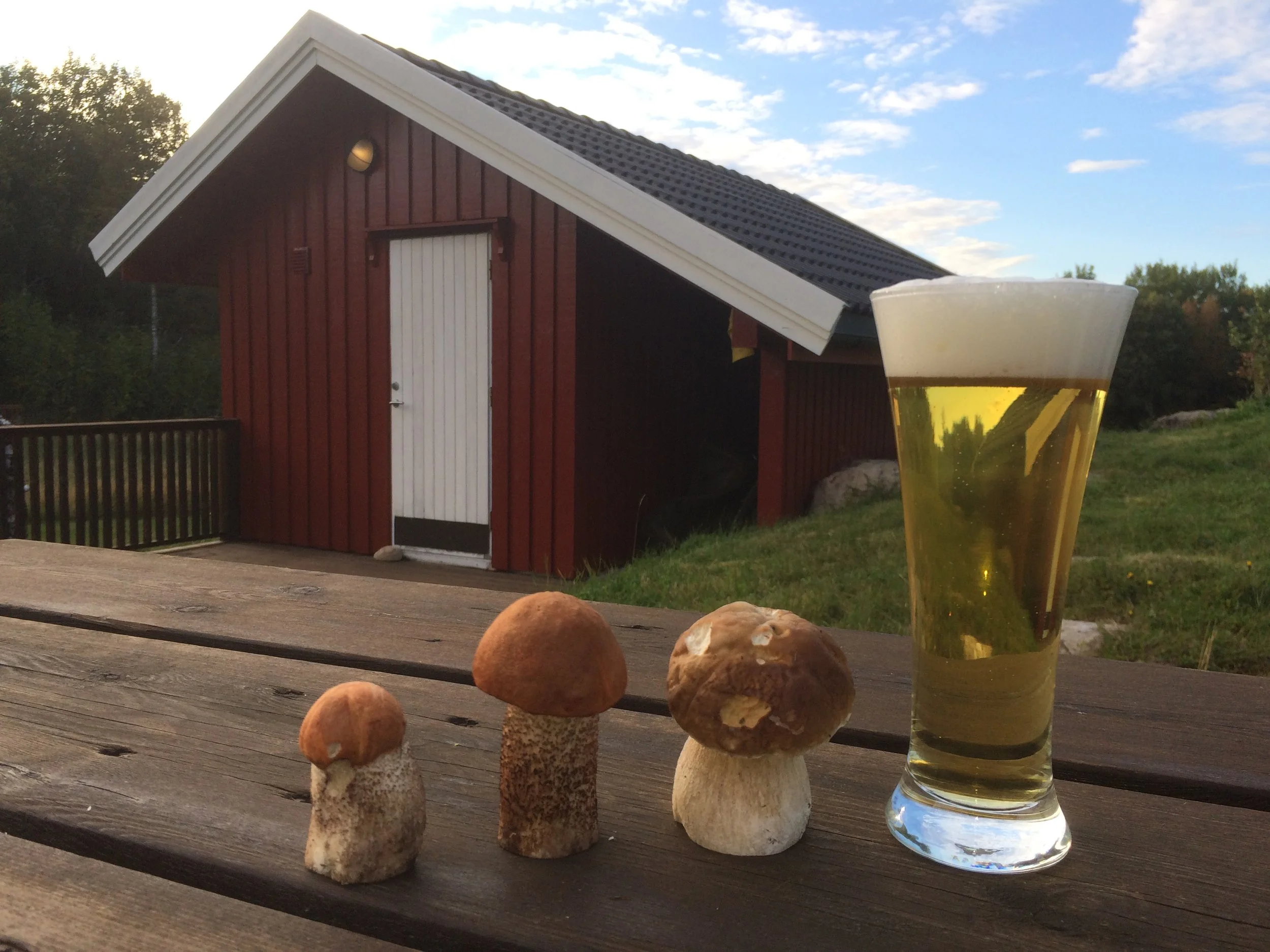 Drei Steinpilze und ein Glas Bier auf einem Holztisch vor einem roten Haus mit weißer Tür, im Hintergrund grüner Garten und blauer Himmel.