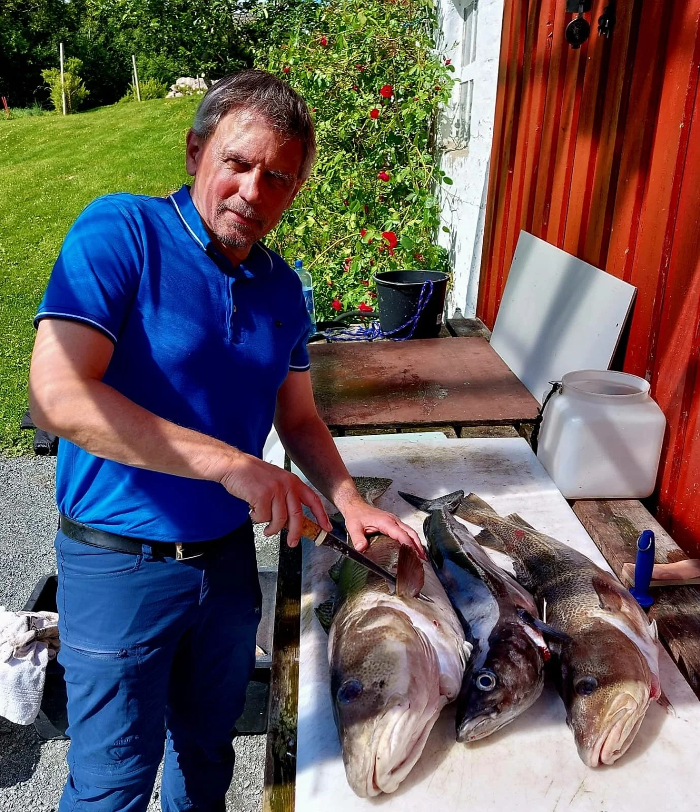 Mann beim Fischschnitt vor mehreren gefangenen Fischen auf einem Schnittbrett, im Freien mit grüner Landschaft im Hintergrund.