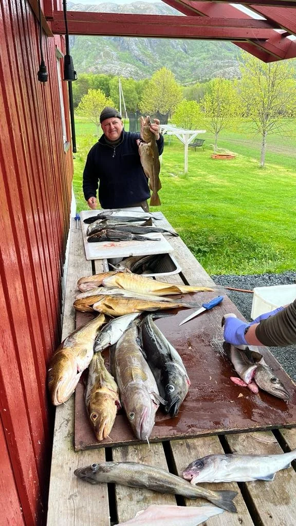 Ein Mann steht vor einem Tisch mit gefangenen Fischen, hält einen großen Fisch hoch und zeigt ihn in die Kamera.