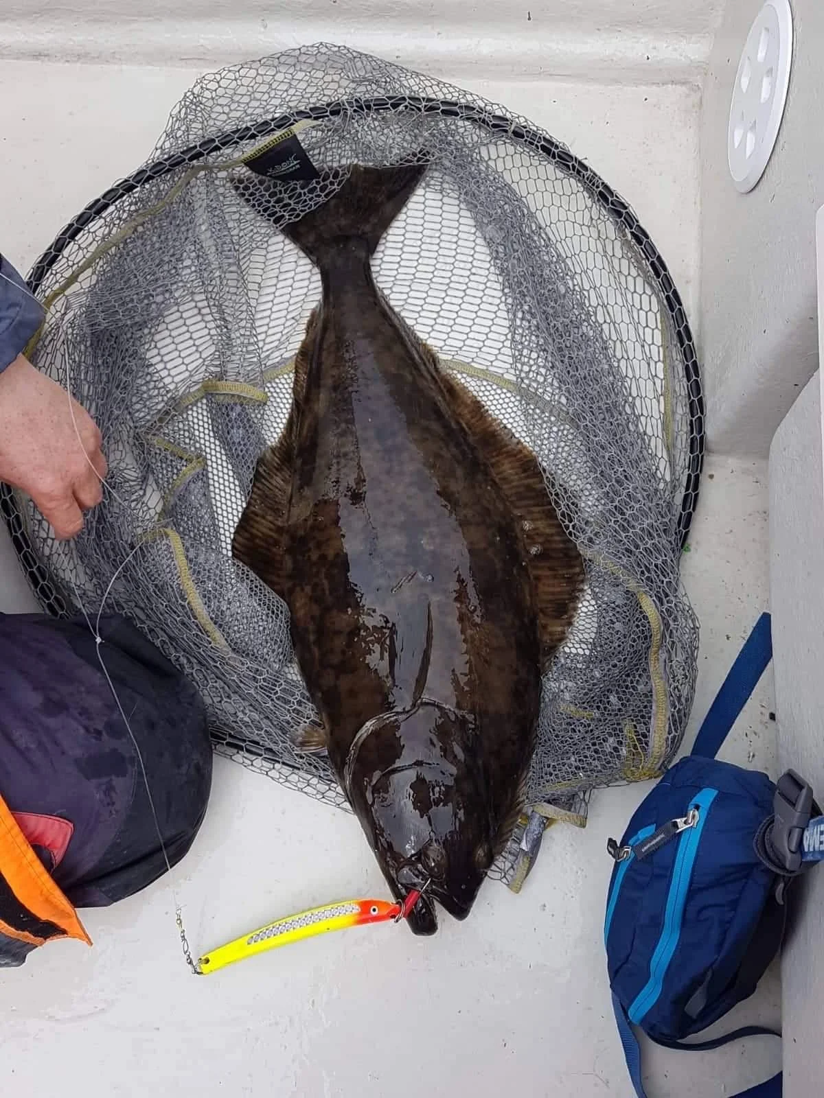 Ein großer Fisch liegt auf einem Fangnetz, eine Angeltasche und eine weitere Tasche liegen daneben.