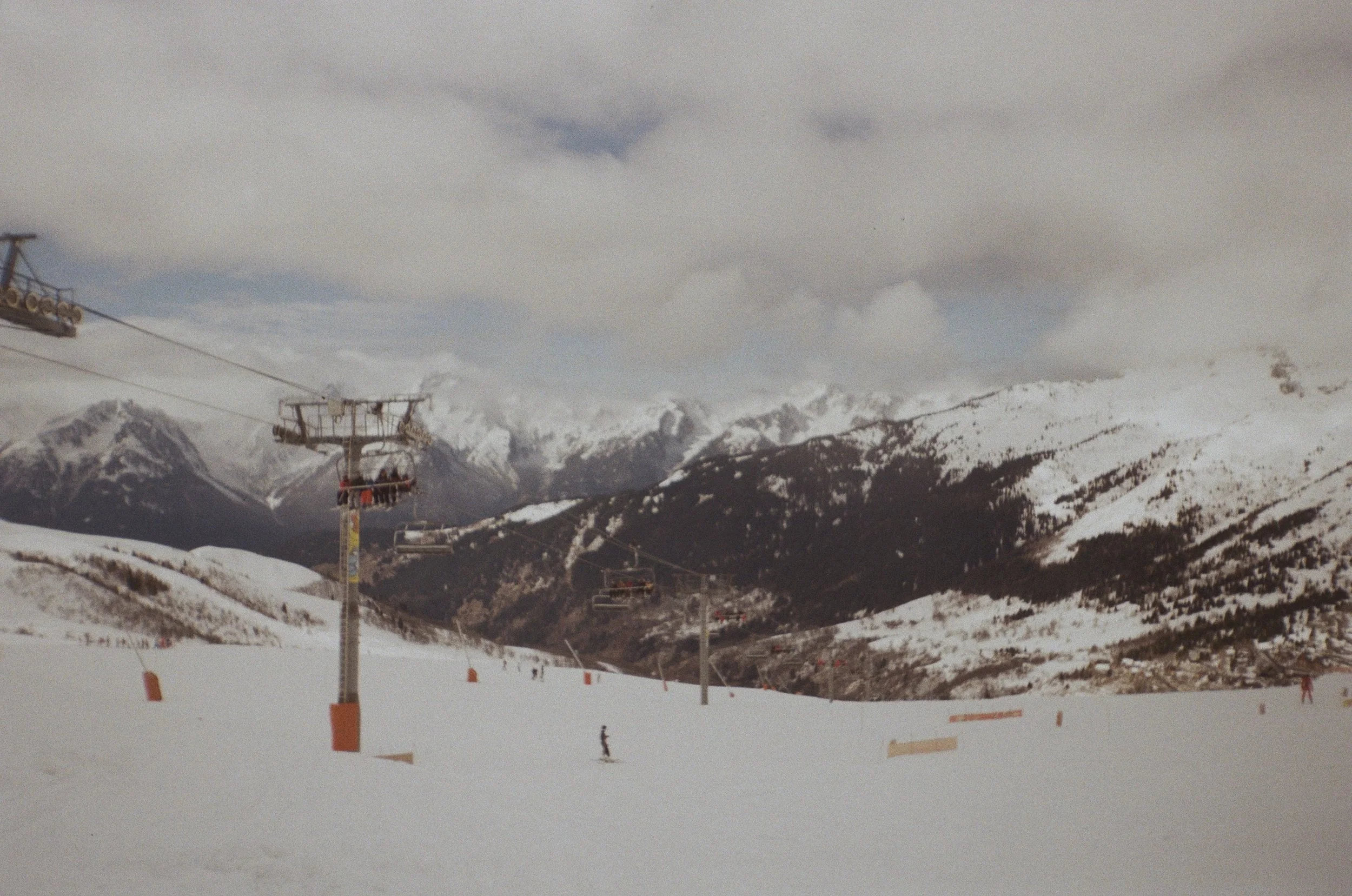 IMG_8865.jpg
